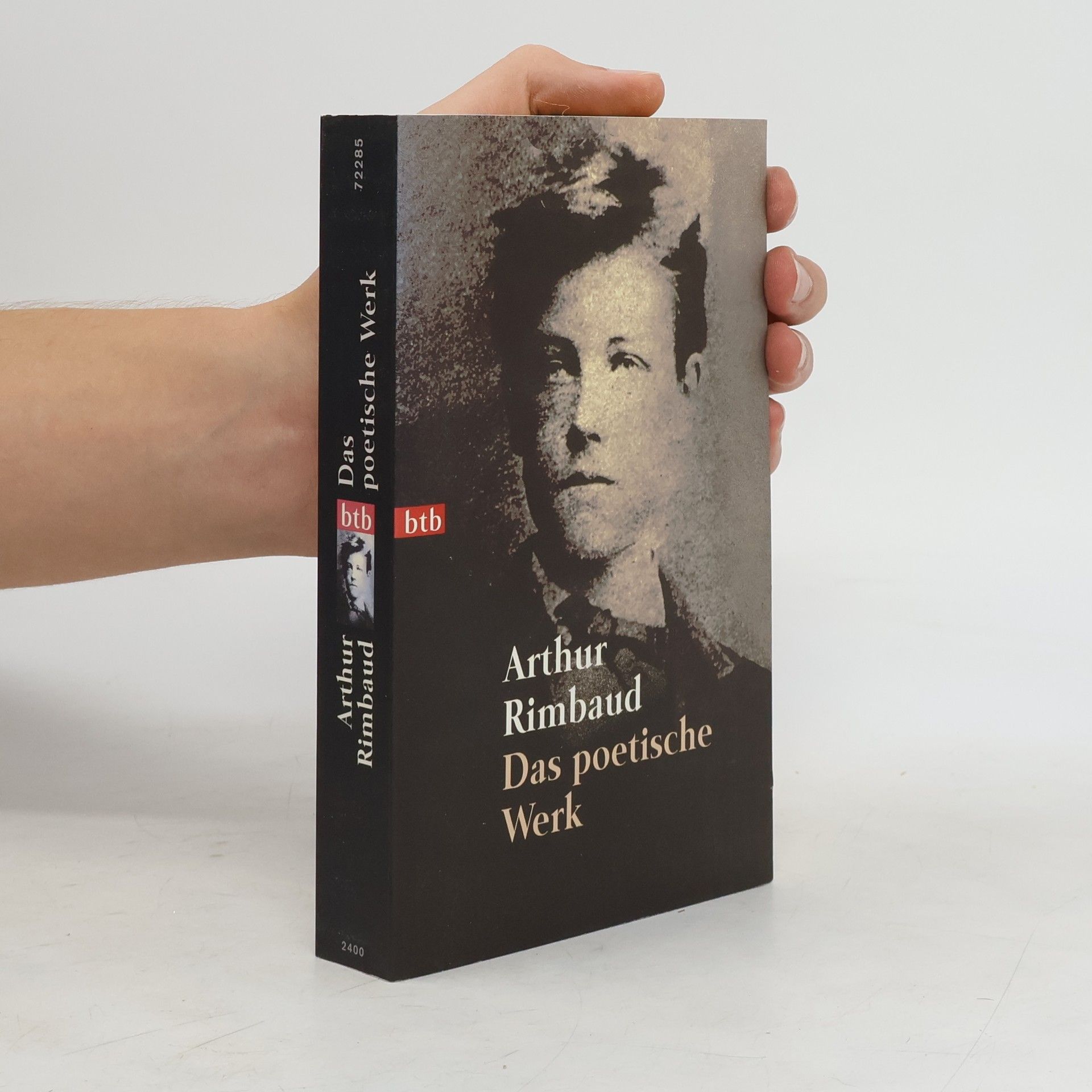Arthur Rimbaud Das poetische Werk
