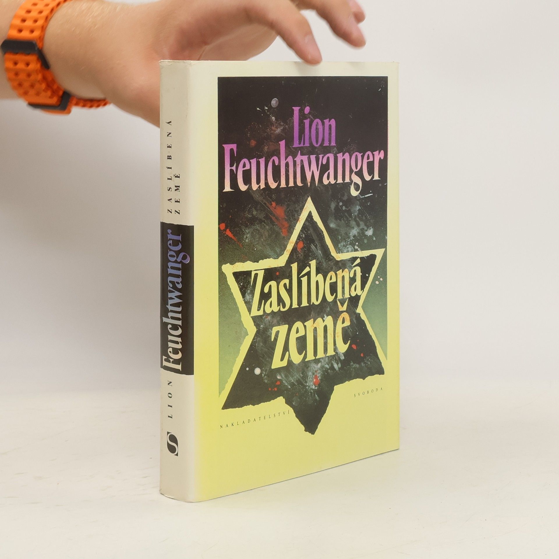 Lion Feuchtwanger Zaslíbená země