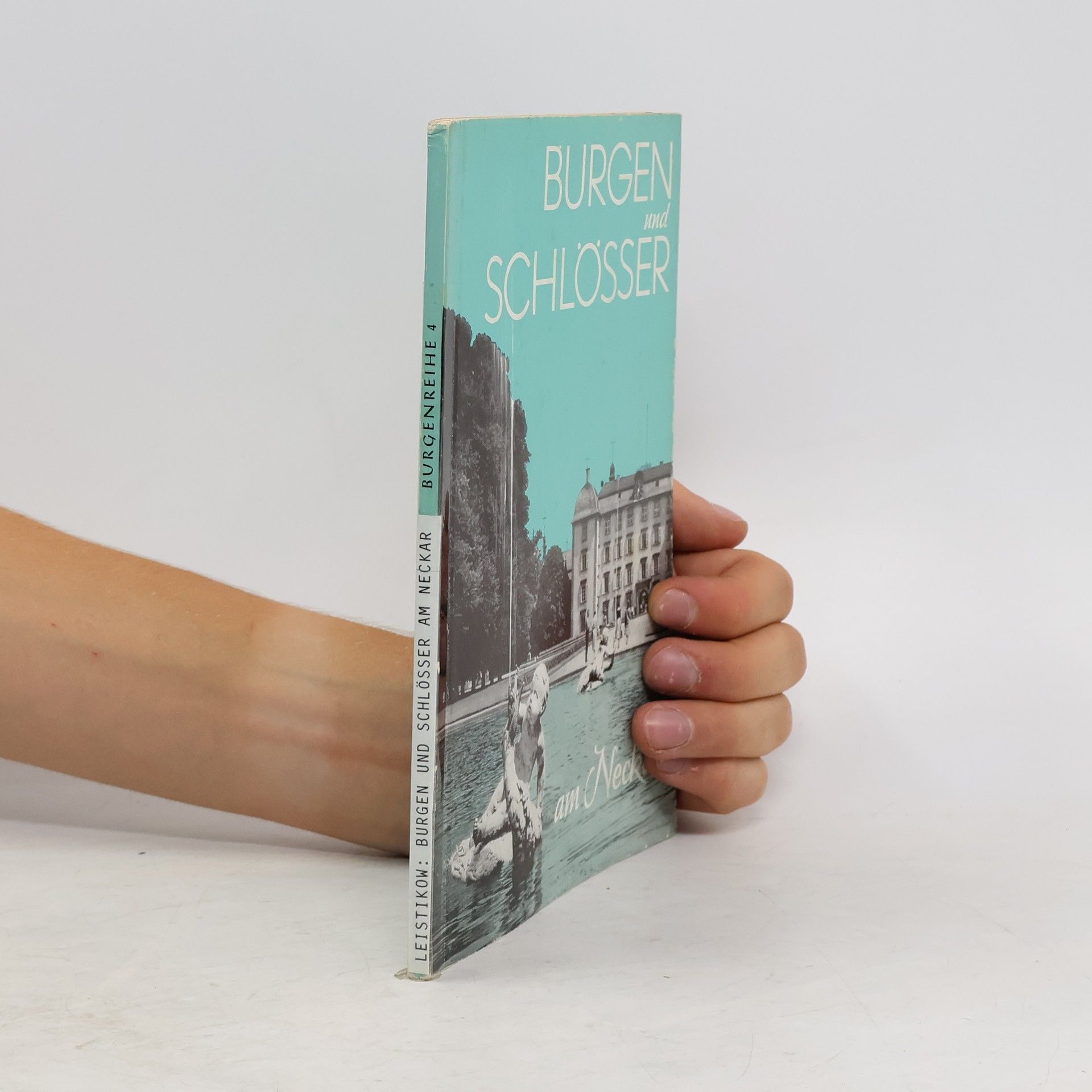 Burgen und Schlösser am Neckar