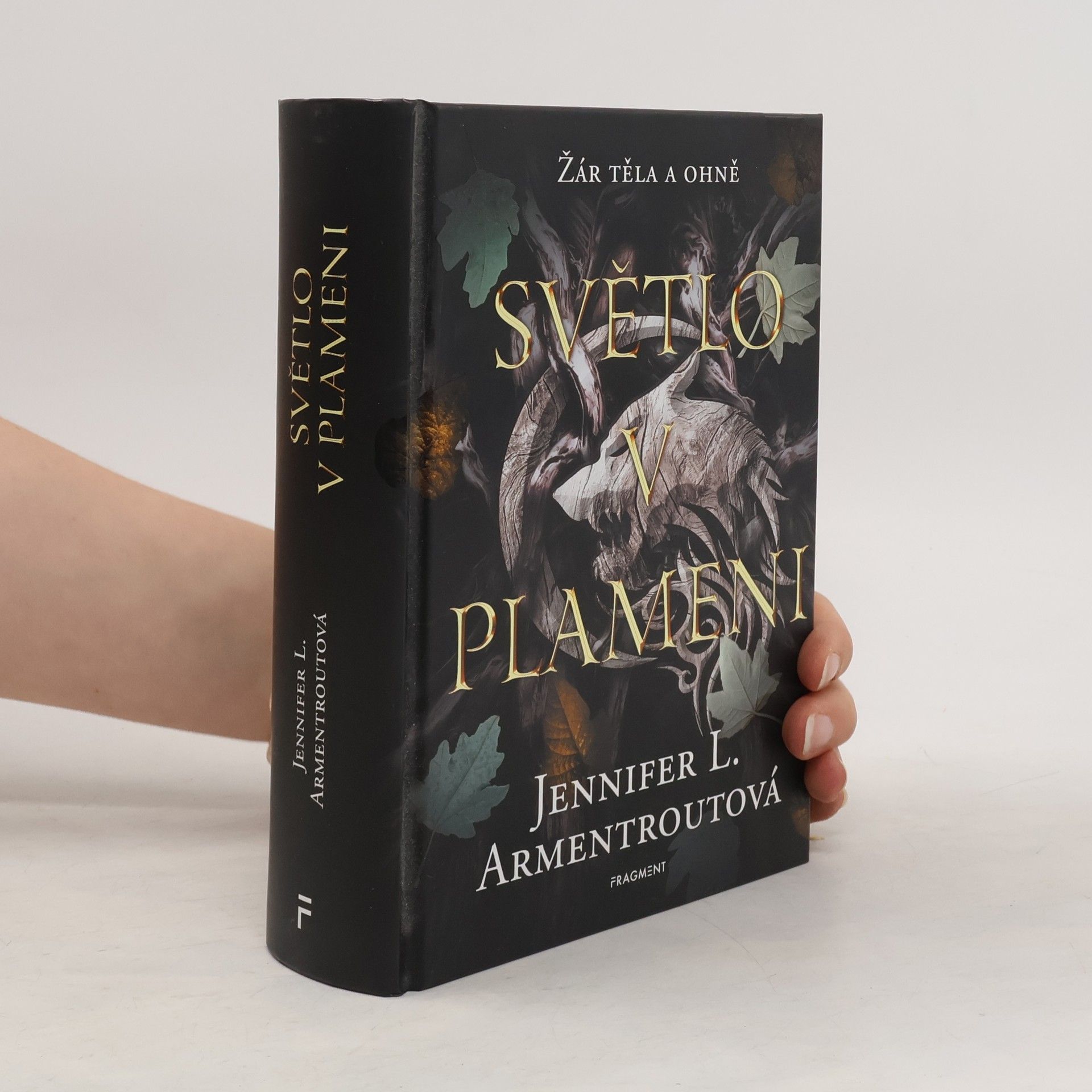 Kateřina Hejnová Světlo v plameni