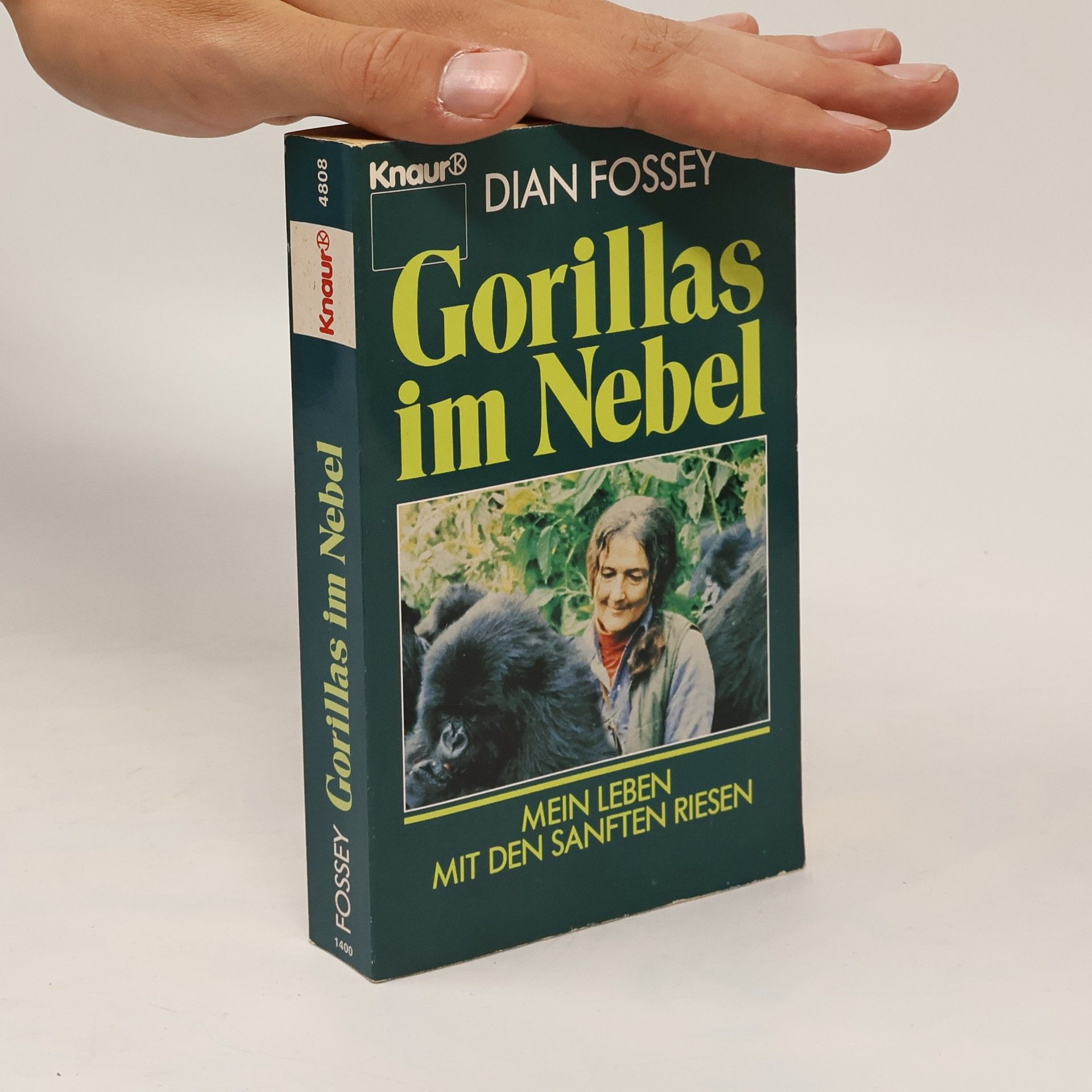 Dian Fossey Gorillas im Nebel