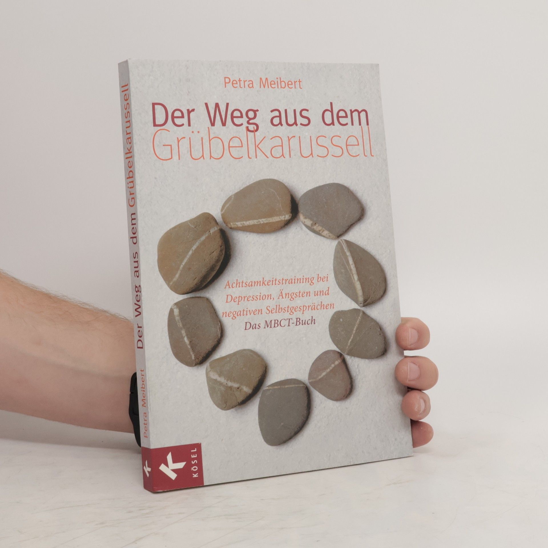 Petra Meibert Der Weg aus dem Grübelkarussell