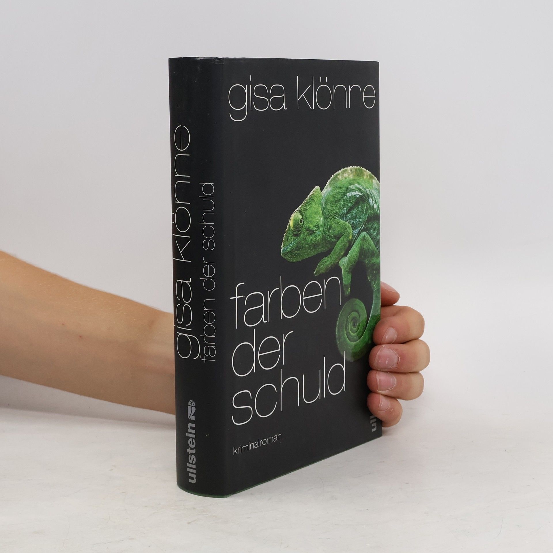 Gisa Klönne Farben der Schuld