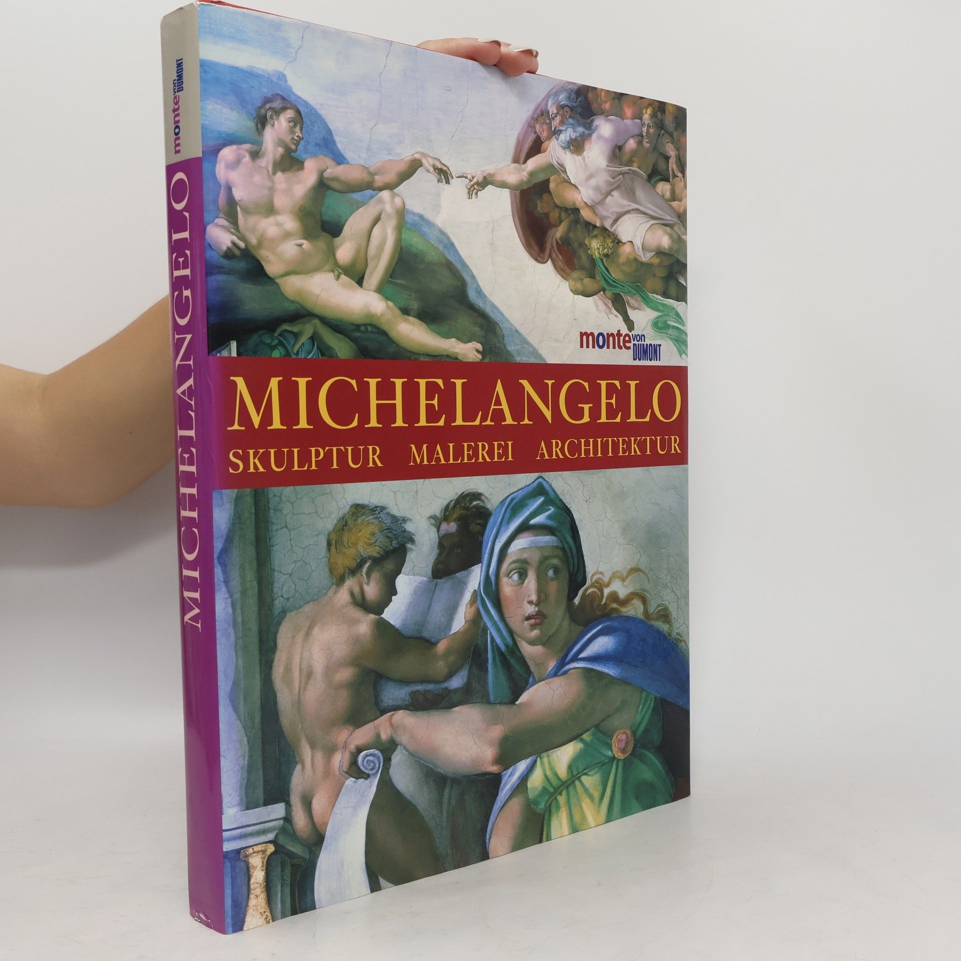 William E. Wallace Michelangelo