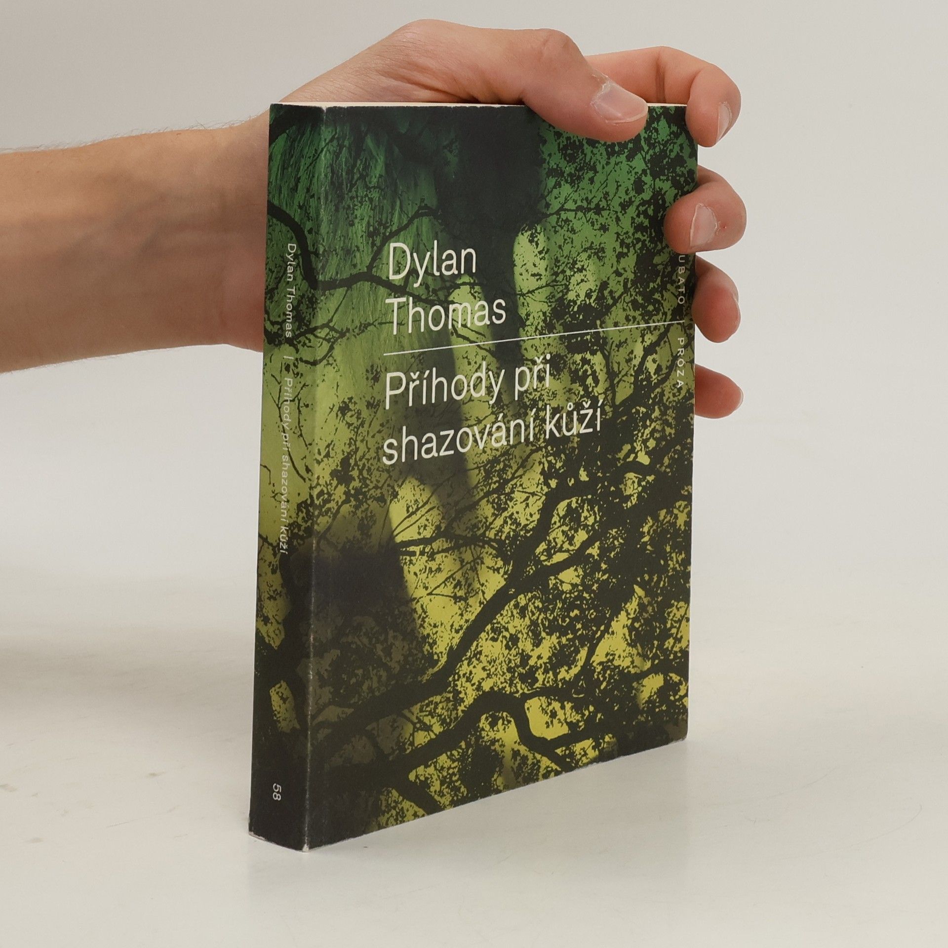 Dylan Thomas Příhody při shazování kůží