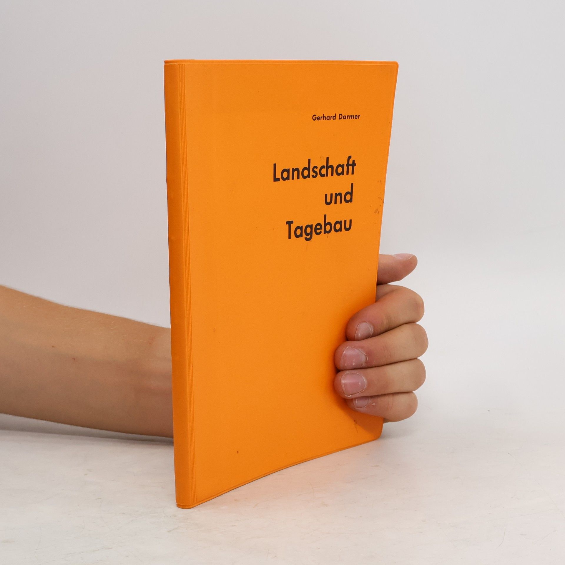 Gerhard Darmer Landschaft und Tagebau