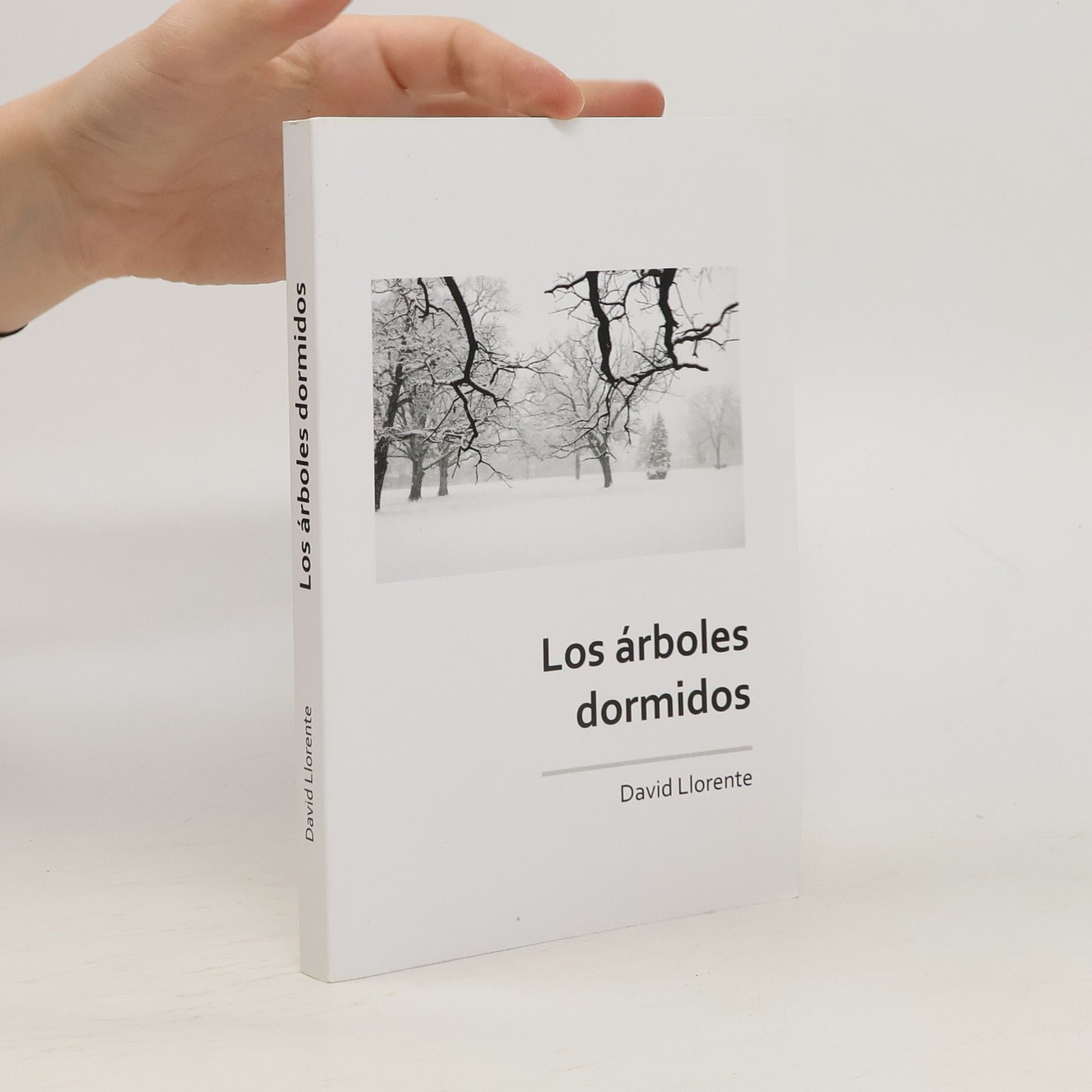 David Llorente Los árboles dormidos