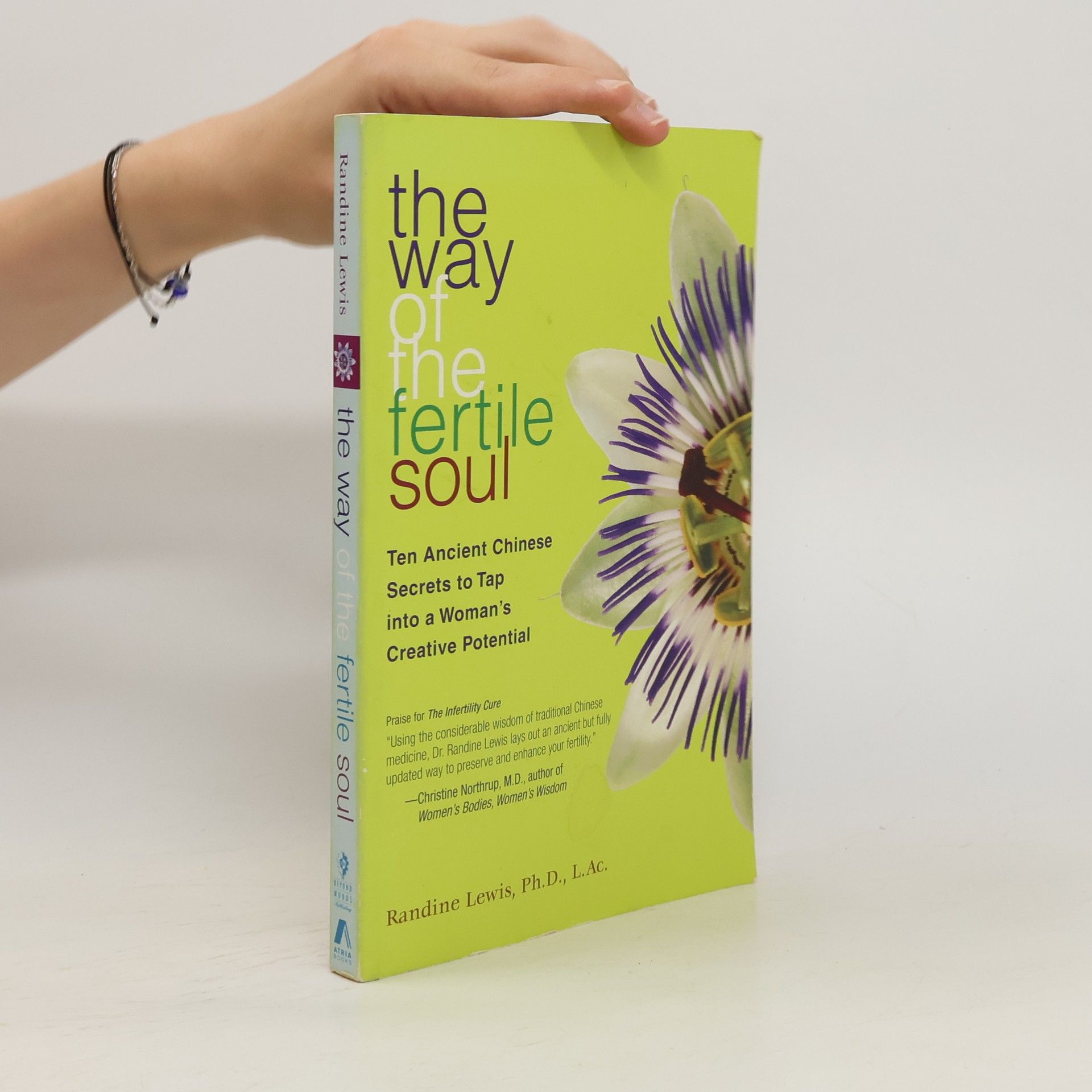 Randine Lewis The Way of the Fertile Soul