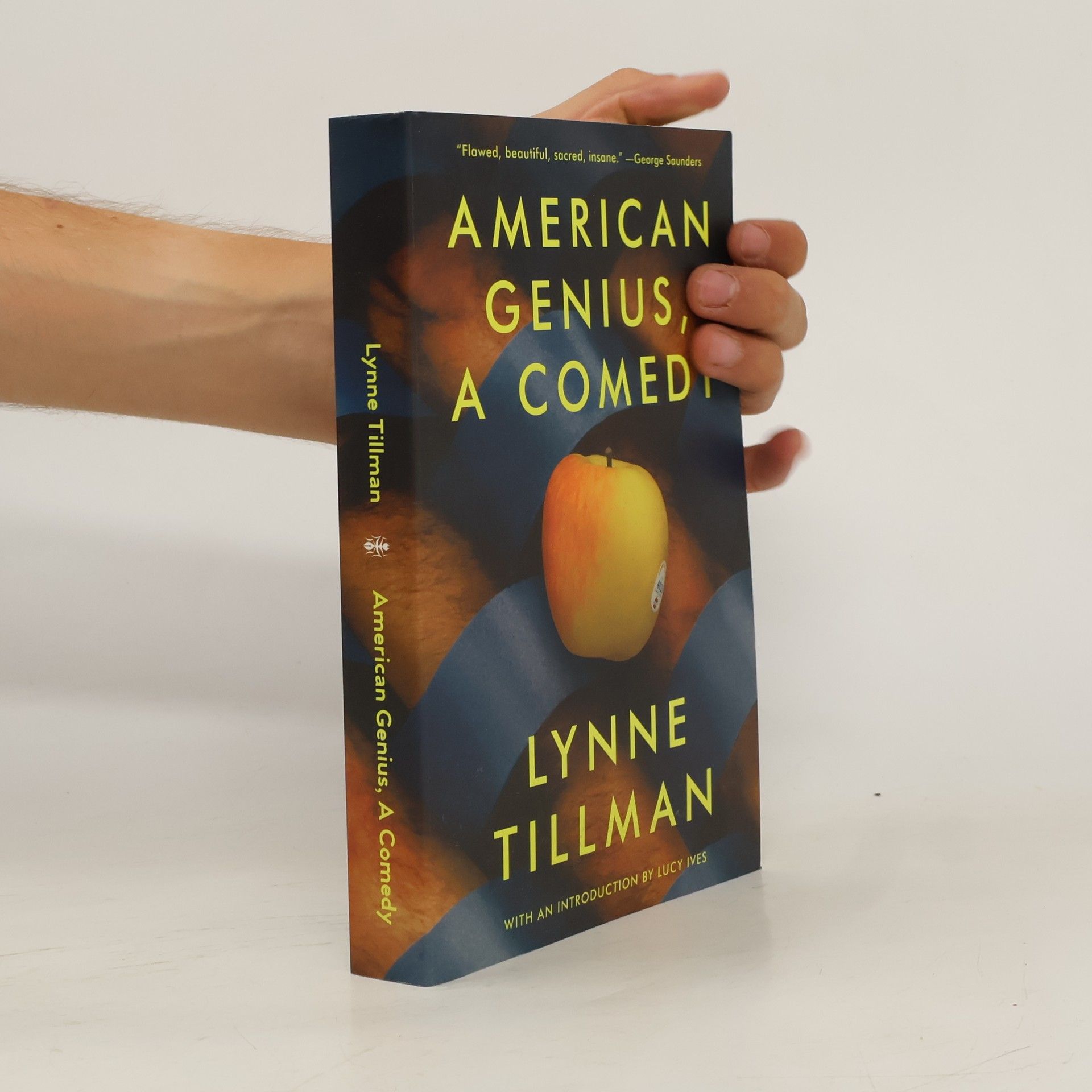Lynne Tillman American Genius