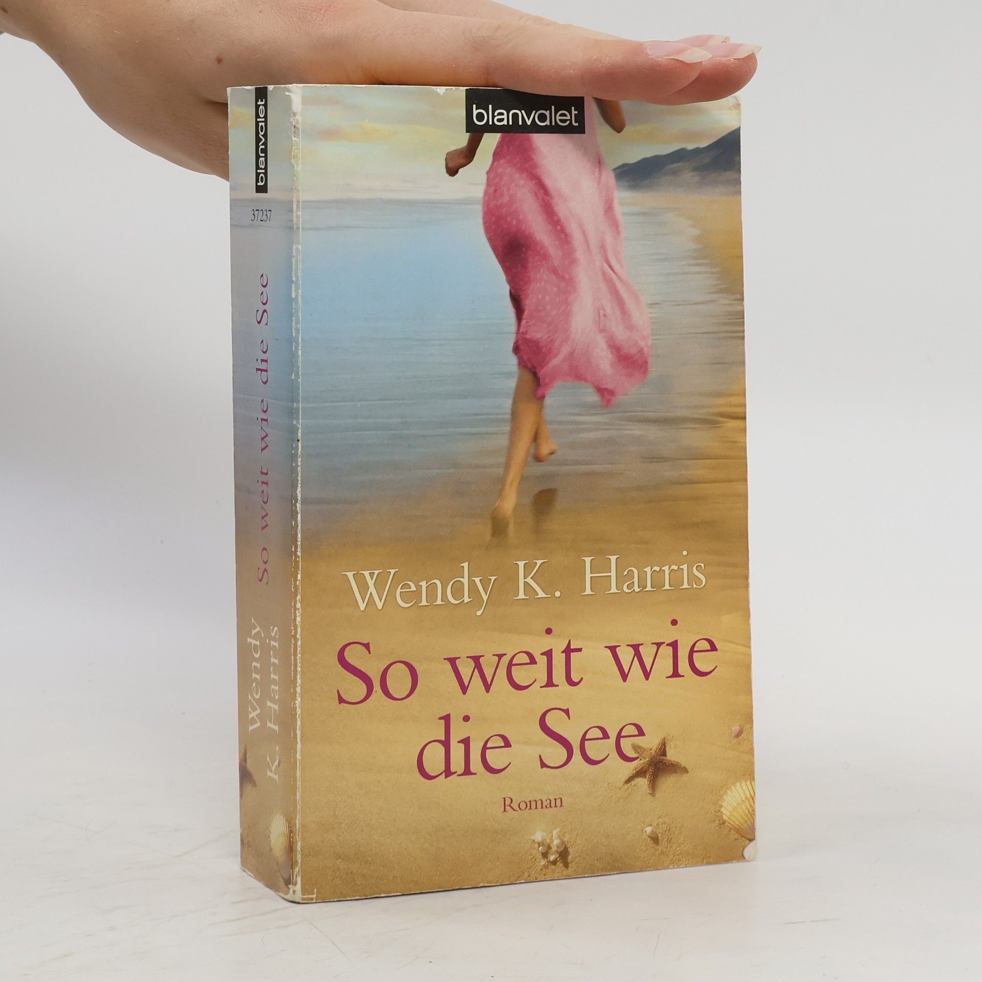 Wendy K. Harris So weit wie die See