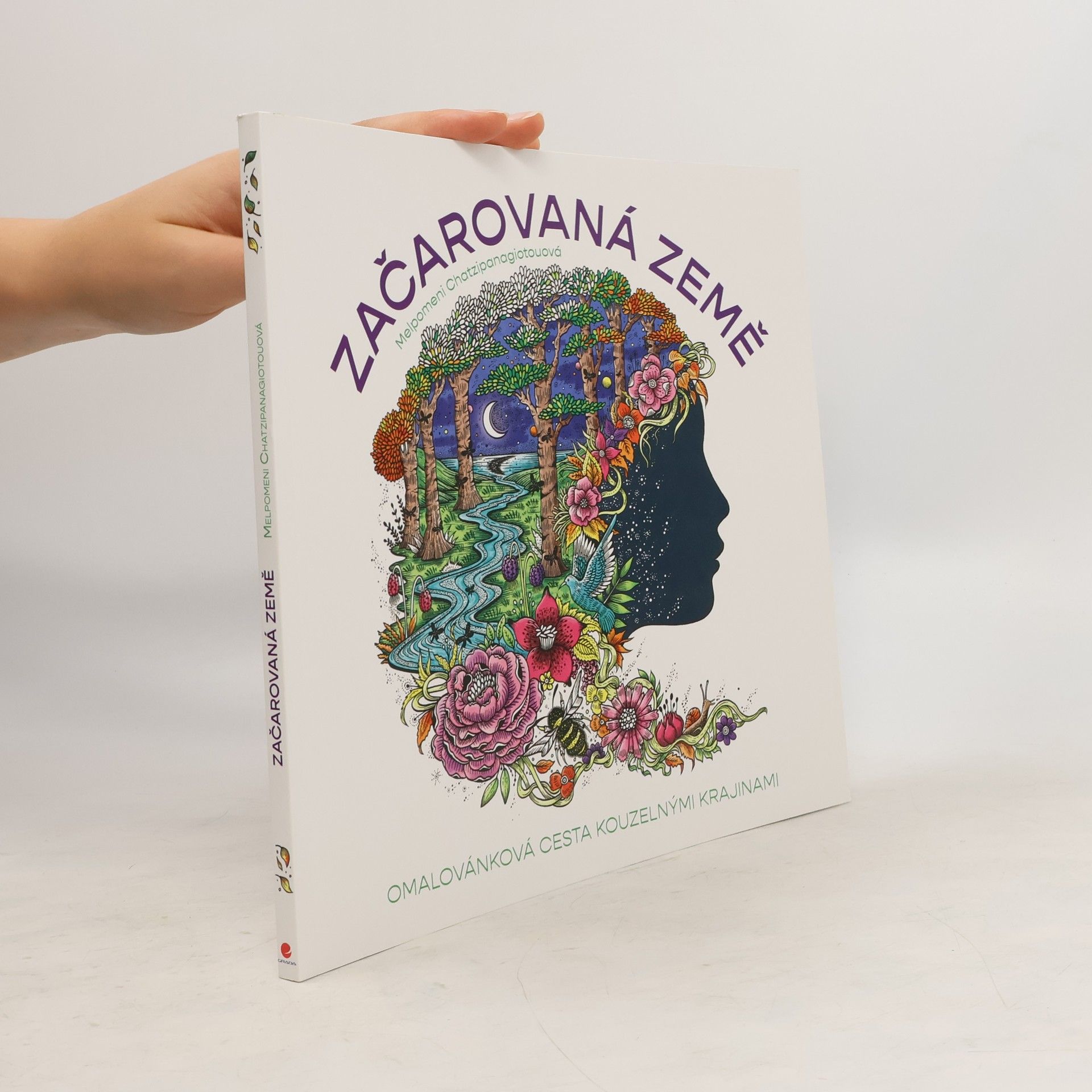 Michael OMara Začarovaná země. Omalovánková cesta kouzelnými krajinami