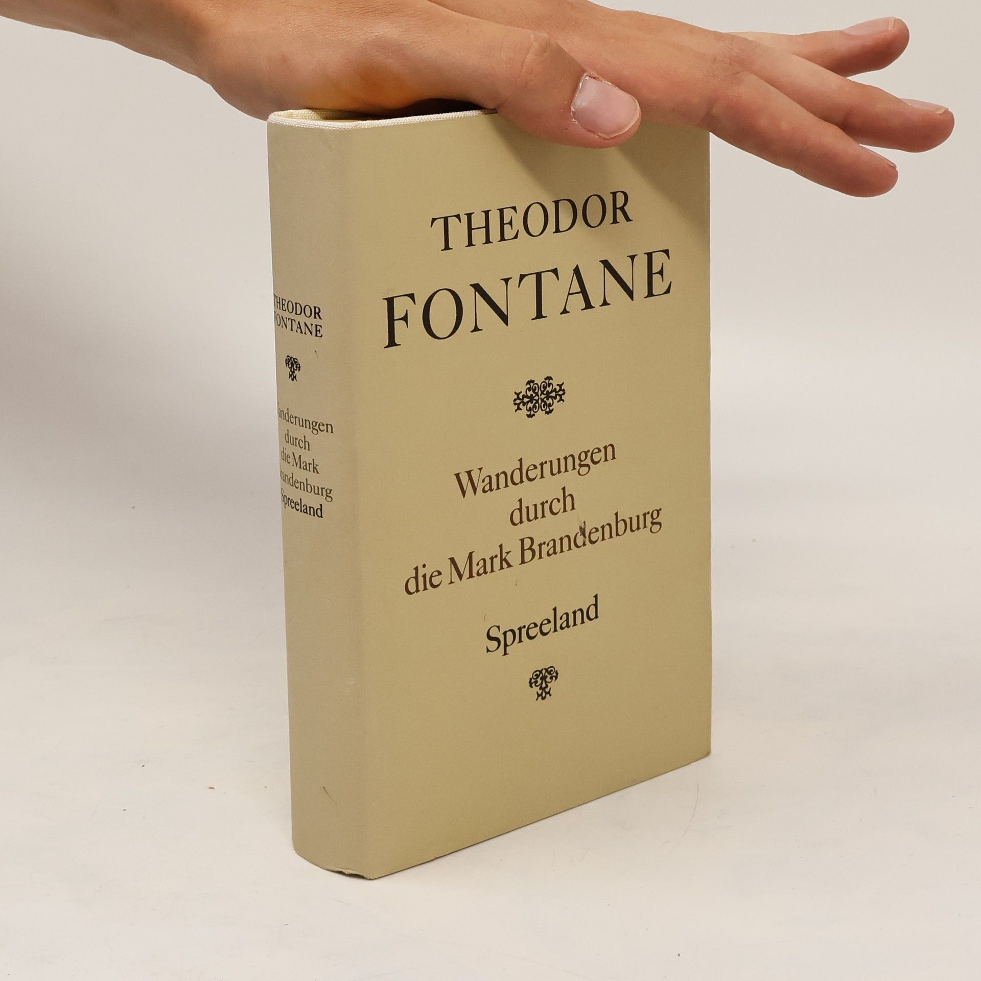 Theodor Fontane Wanderungen durch die Mark Brandenburg 4