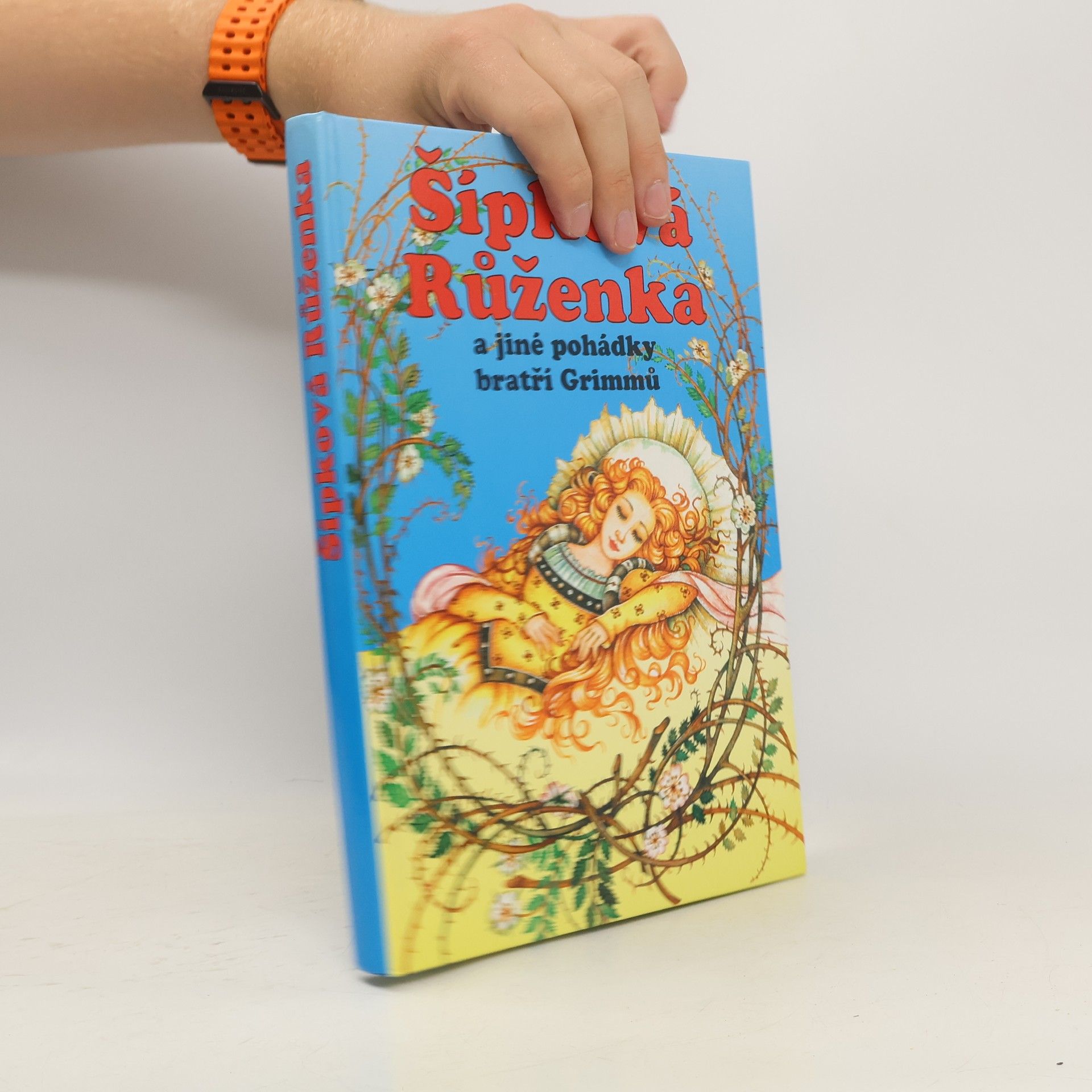 Autores varios Šípková Růženka a jiné pohádky bratří Grimmů