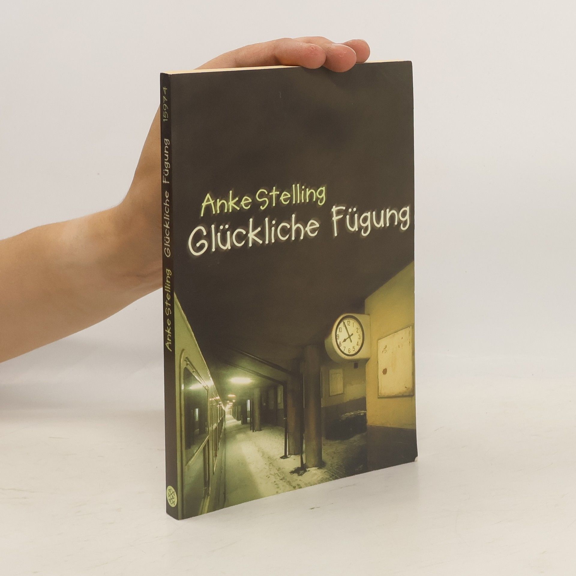 Anke Stelling Glückliche Fügung