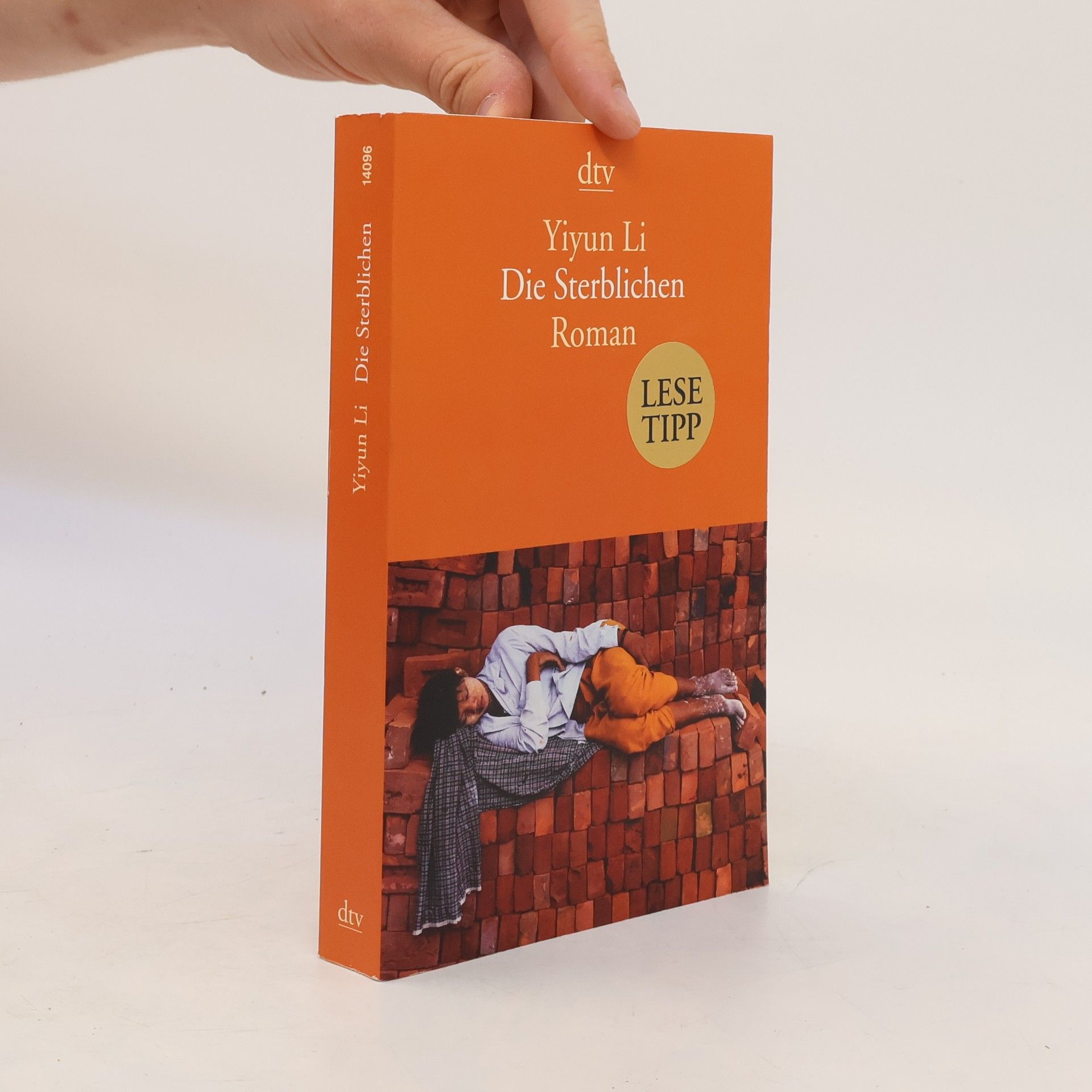 Yiyun Li Die Sterblichen