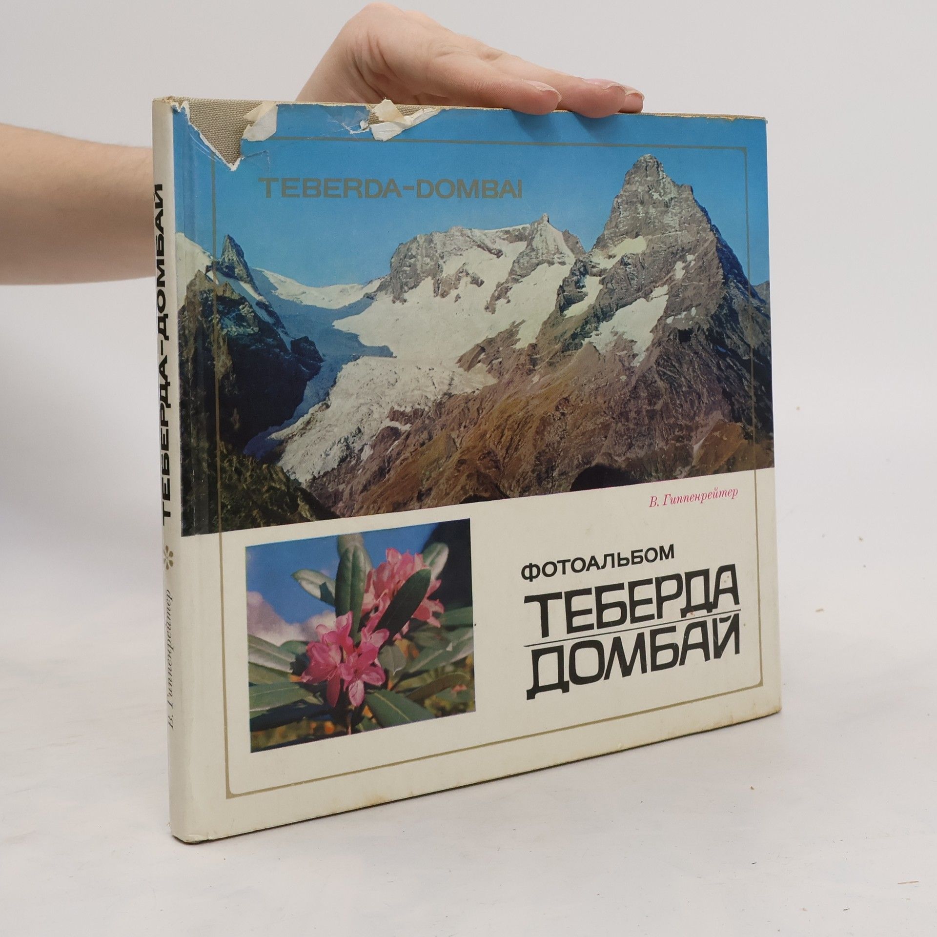 В. Гиппенрейтер Теберда Домбай