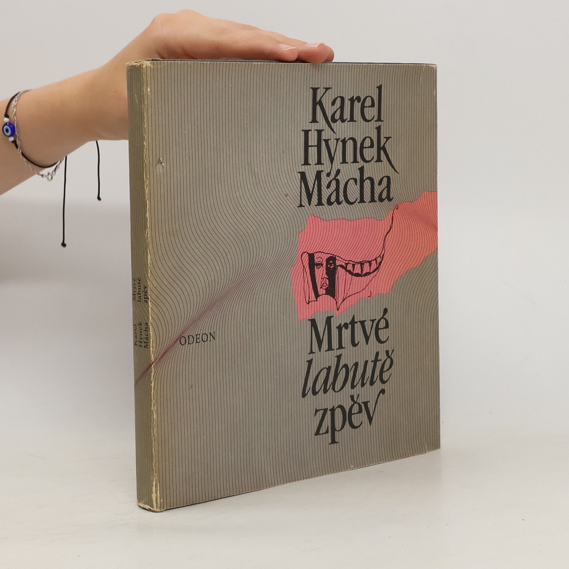 Karel Hynek Mácha Mrtvé labutě zpěv