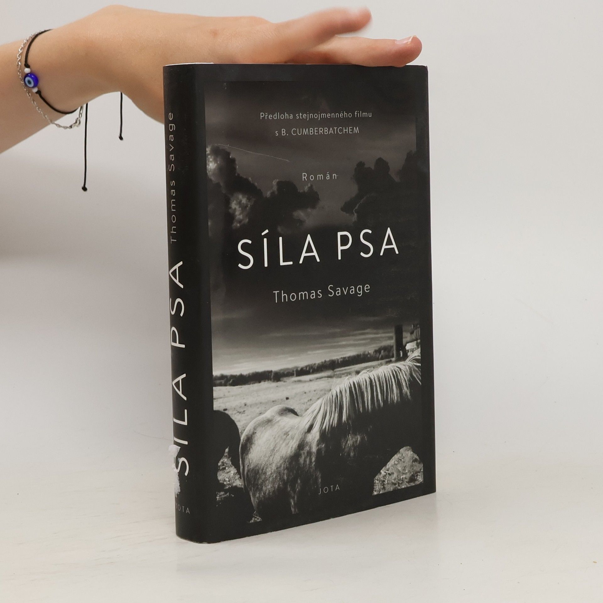 Thomas Savage Síla psa