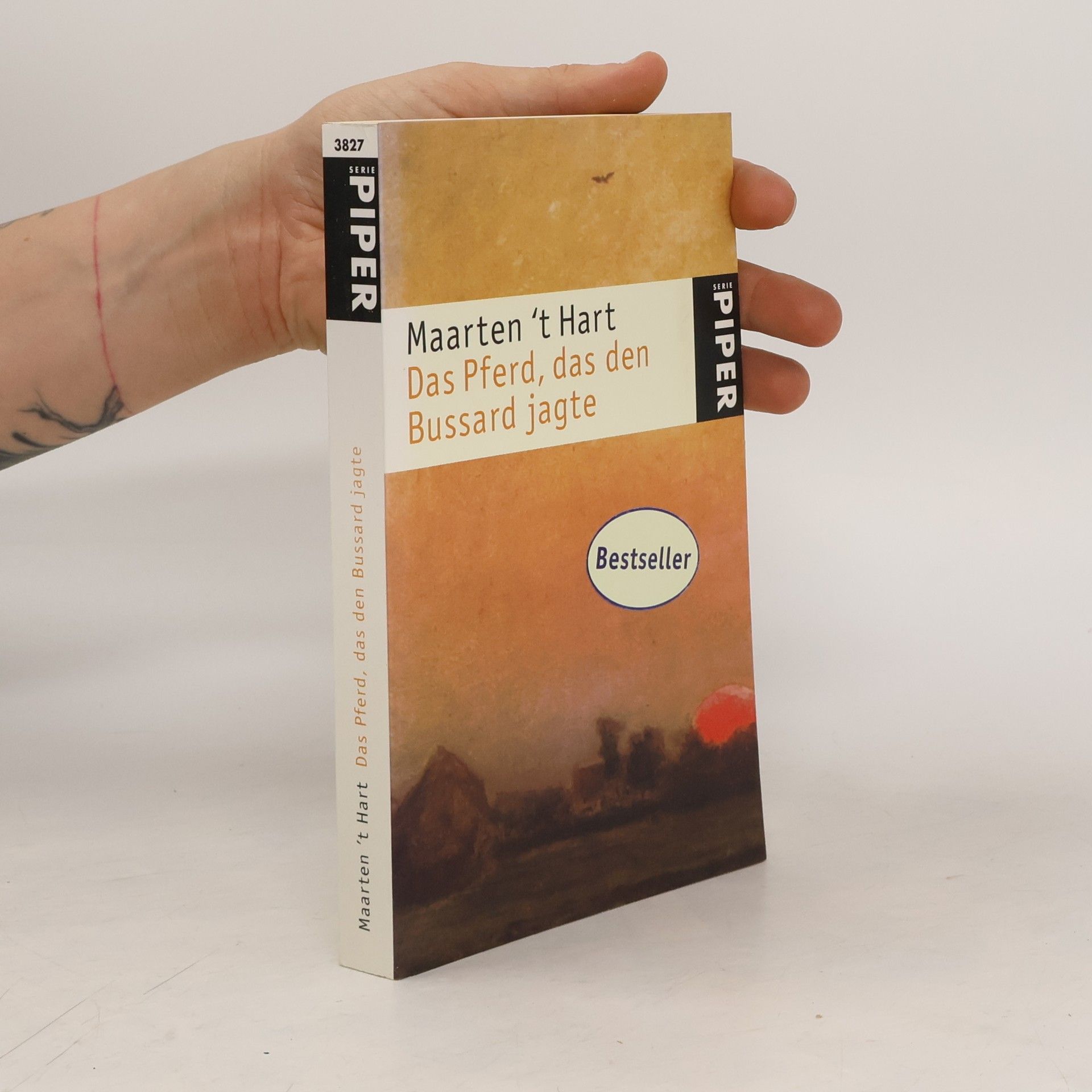 Maarten t. Hart Das Pferd, das den Bussard jagte
