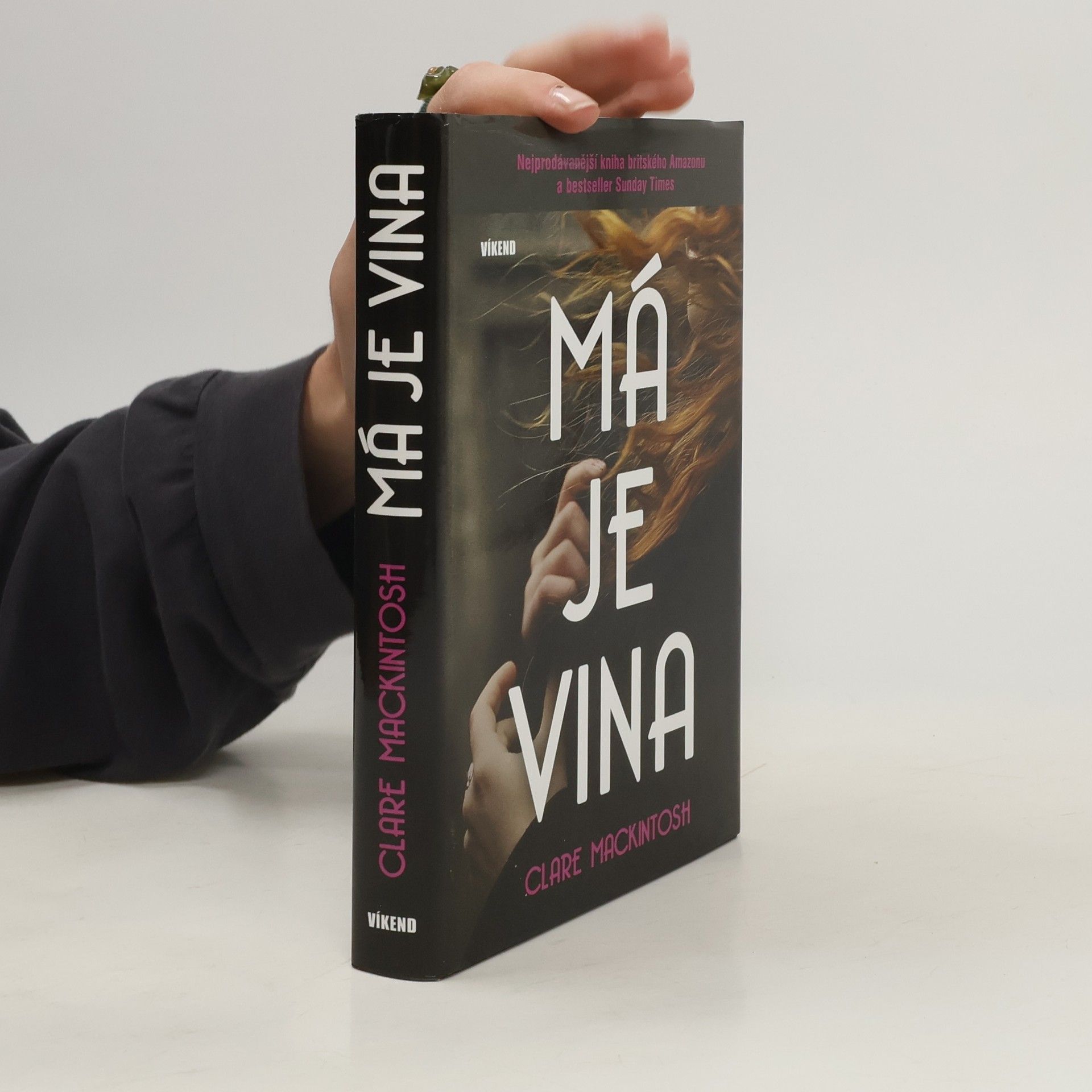 Clare Mackintosch Má je vina
