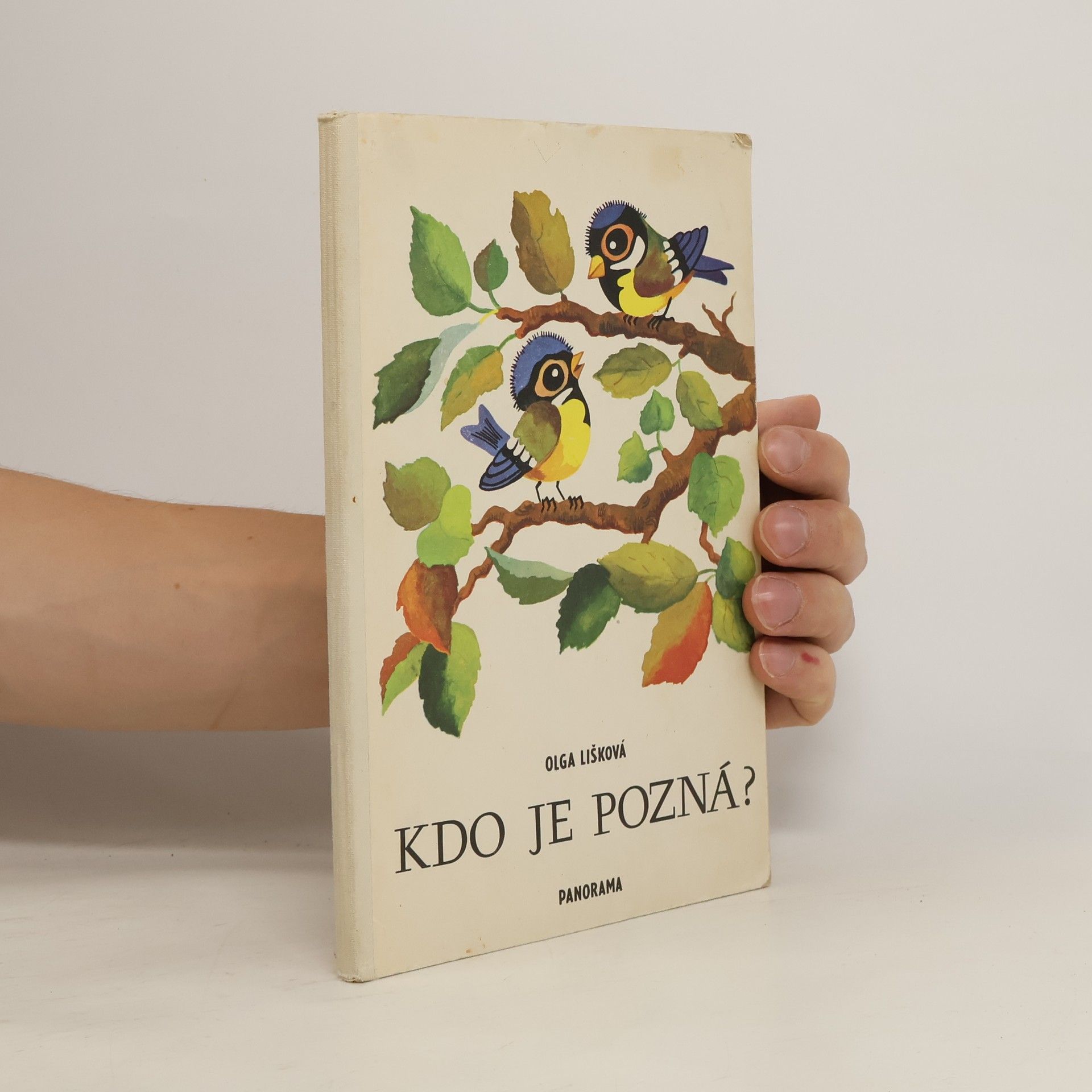 Olga Lišková Kdo je pozná?