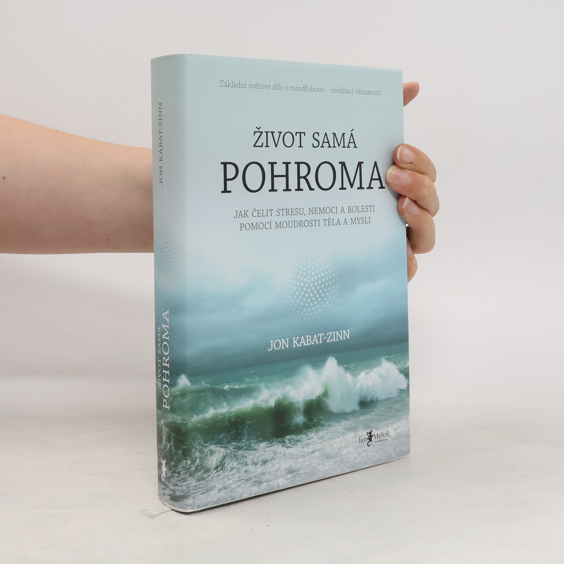 Libor Válek Život samá pohroma