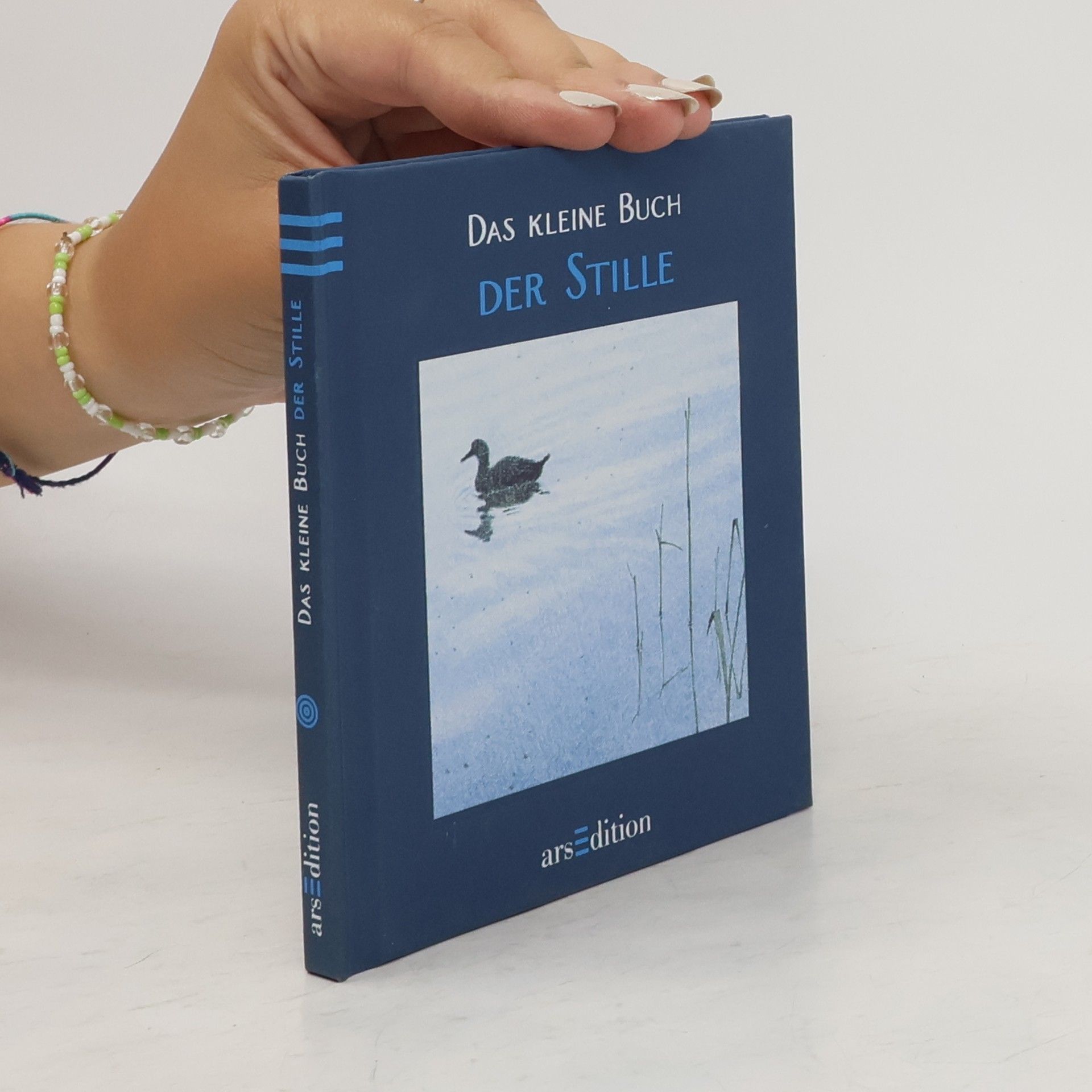 Bernhard Oberdieck Das kleine Buch der Stille