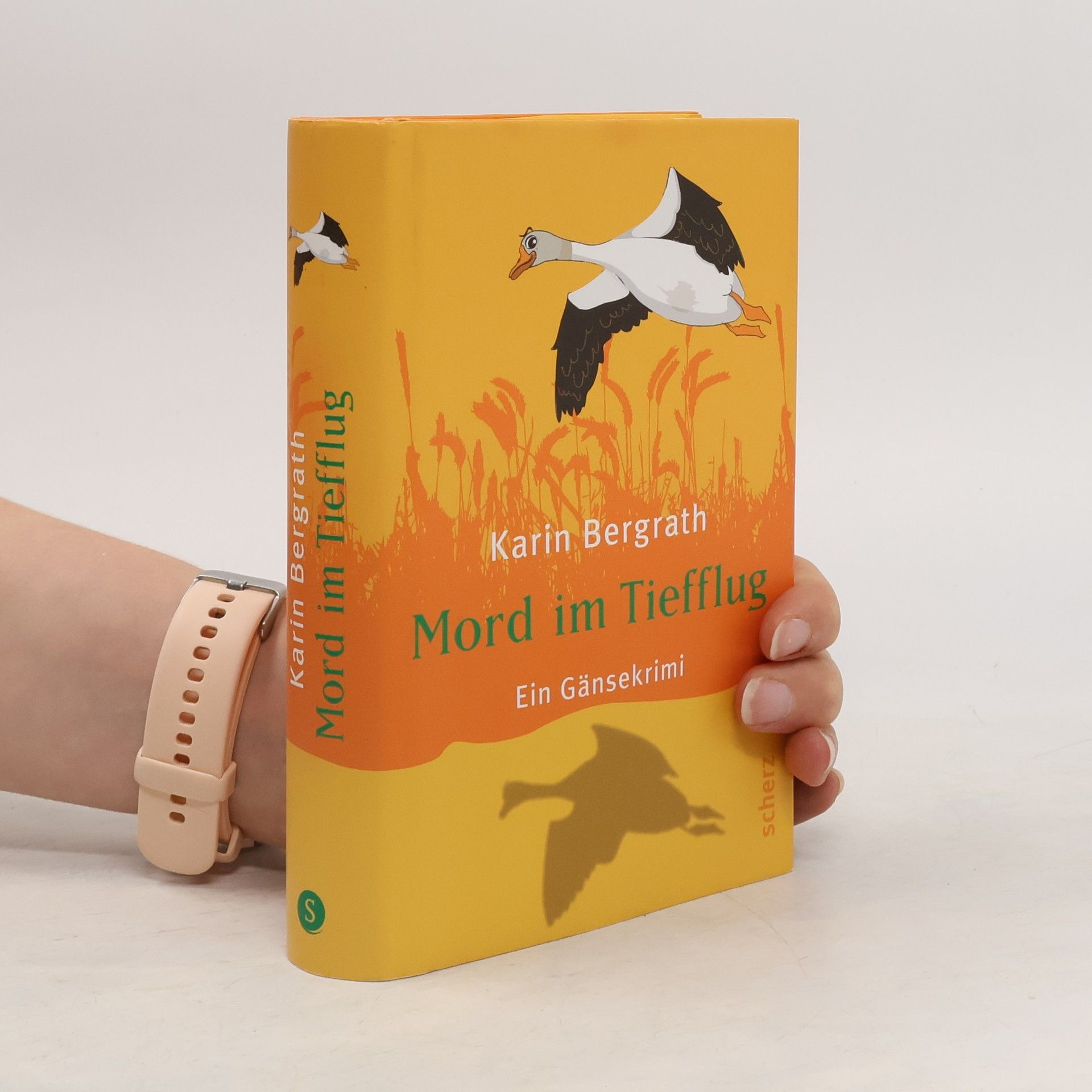 Karin Bergrath Mord im Tiefflug