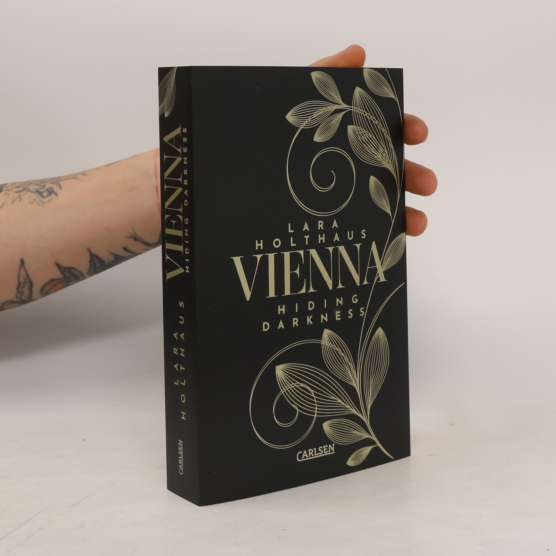 Lara Holthaus Hiding Darkness / Vienna Bd.2