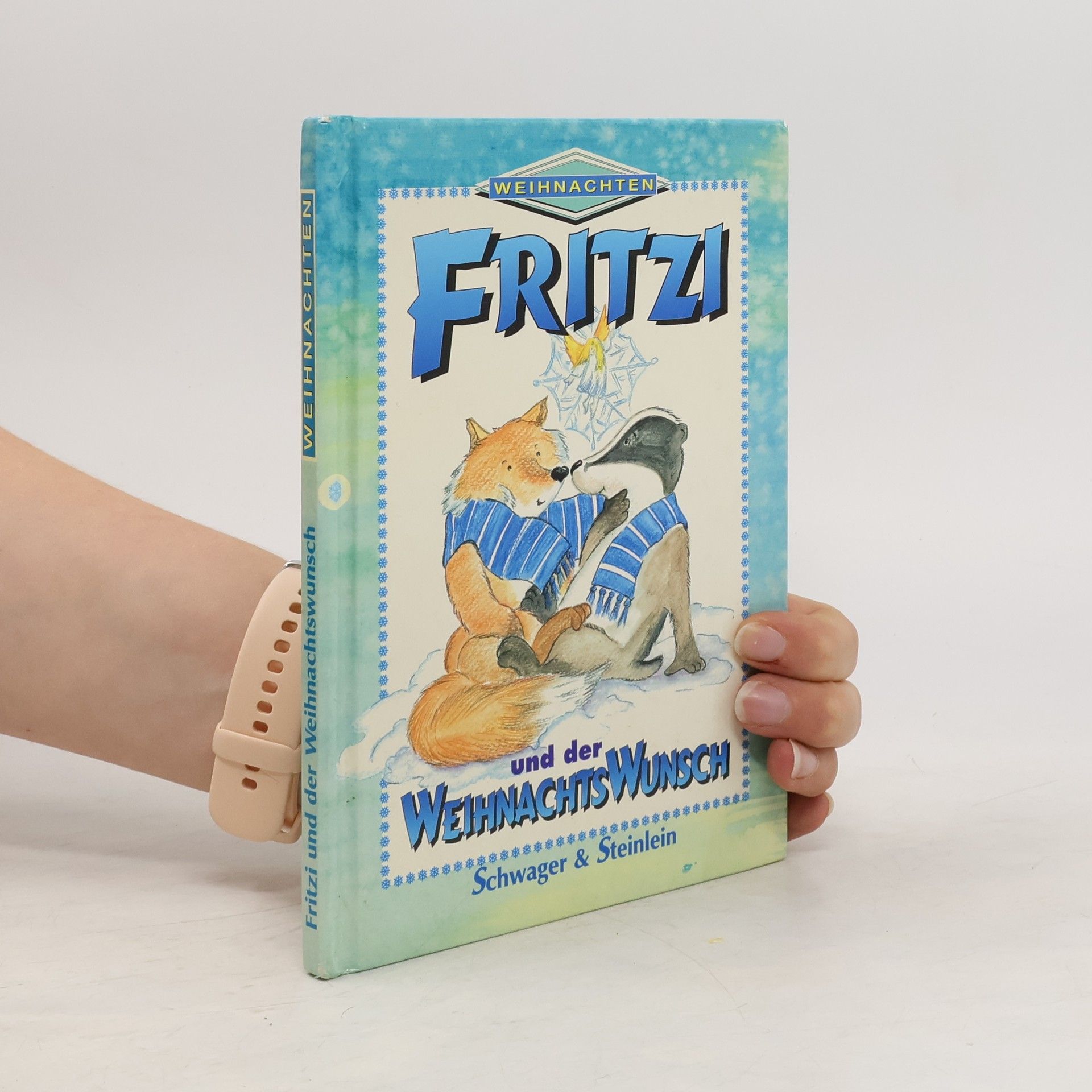 kolektiv Fritzi und der Weihnachtswunsch