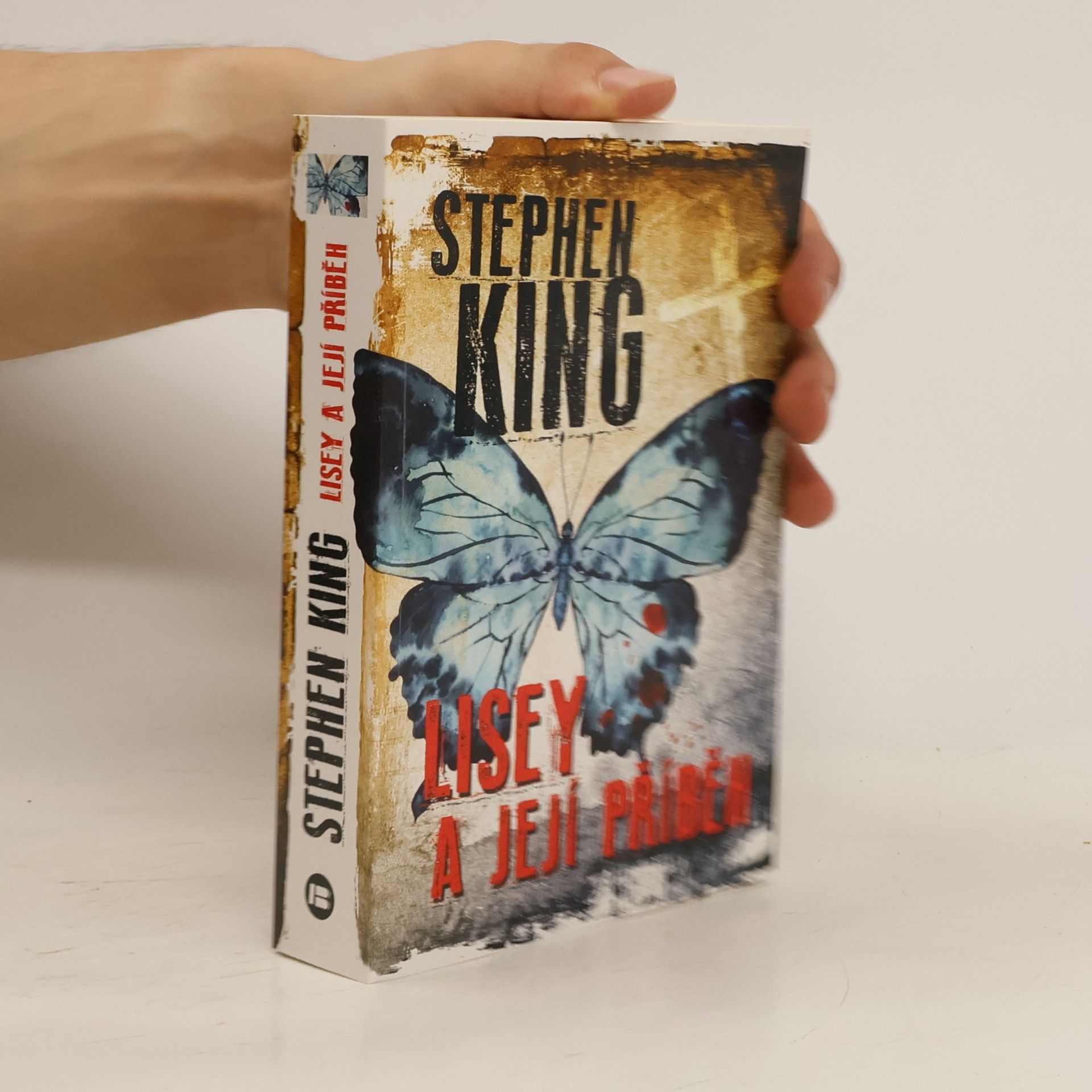 Stephen King Lisey a její příběh