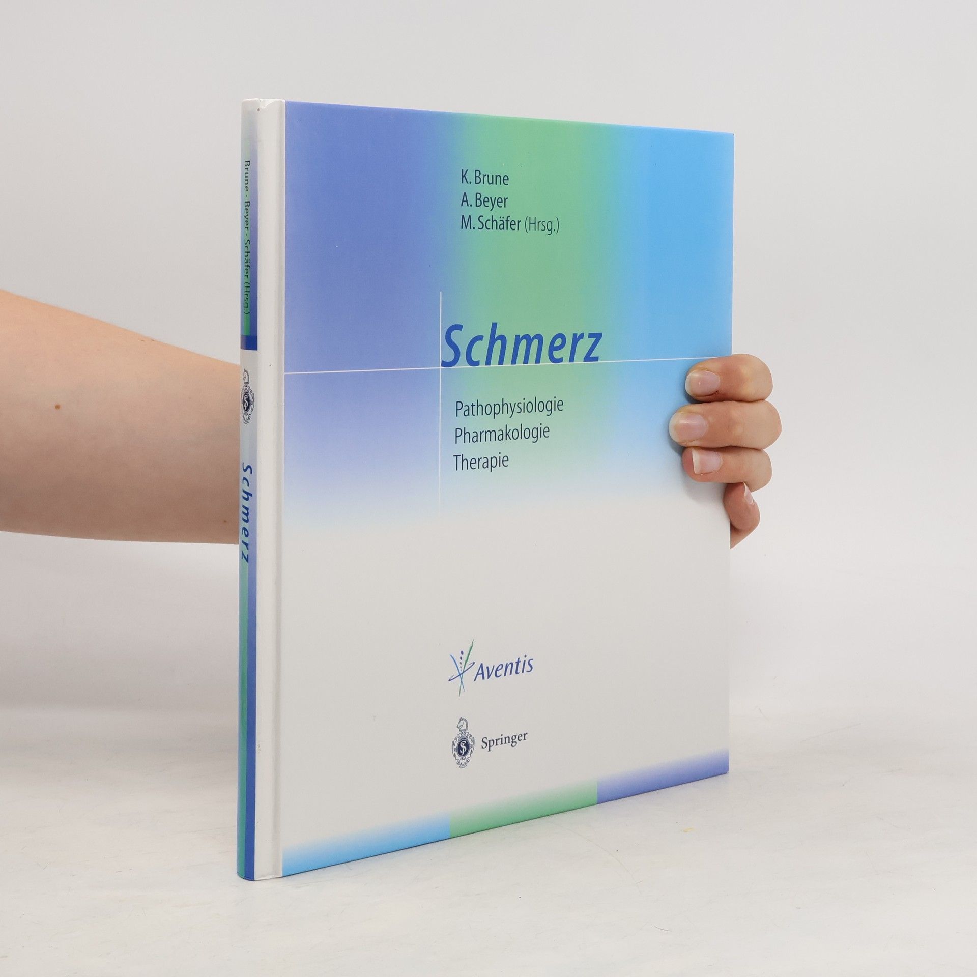 Kay Brune Schmerz. Patopsychologie. Pharmakologie. Terapie.