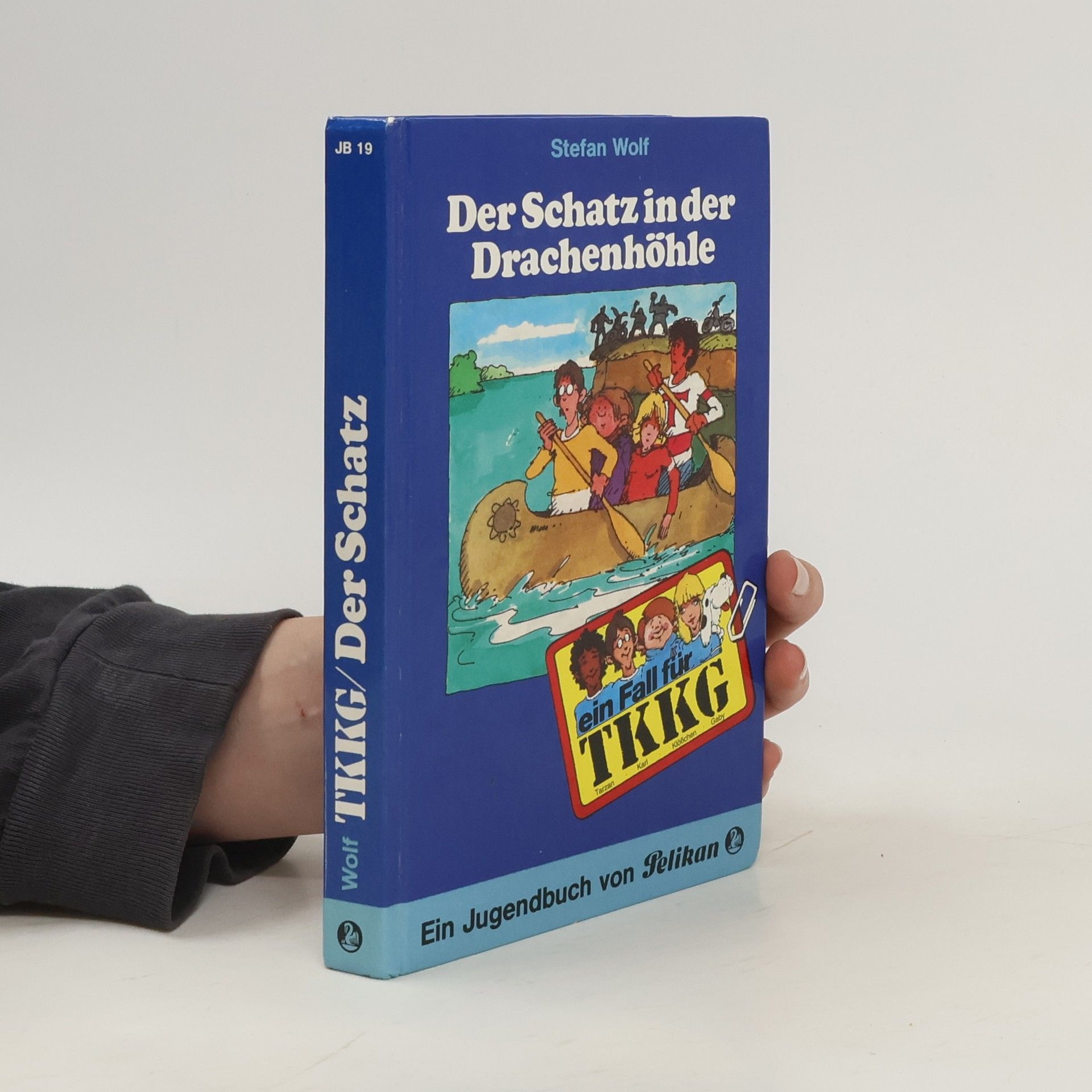Stefan Wolf Ein Fall für TKKG 19: Der Schatz in der Drachenhöhle