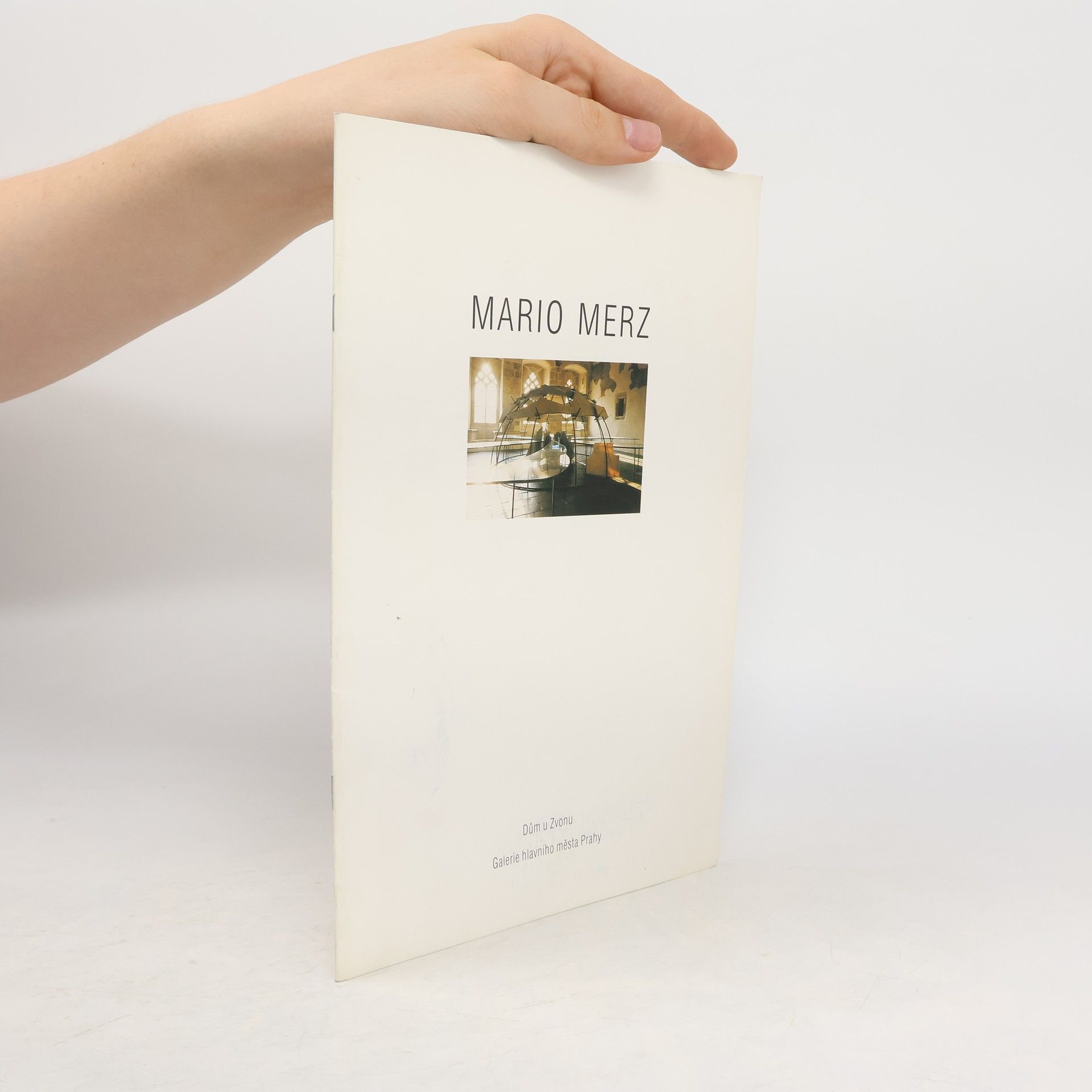 Collectif d'auteurs Mario Merz