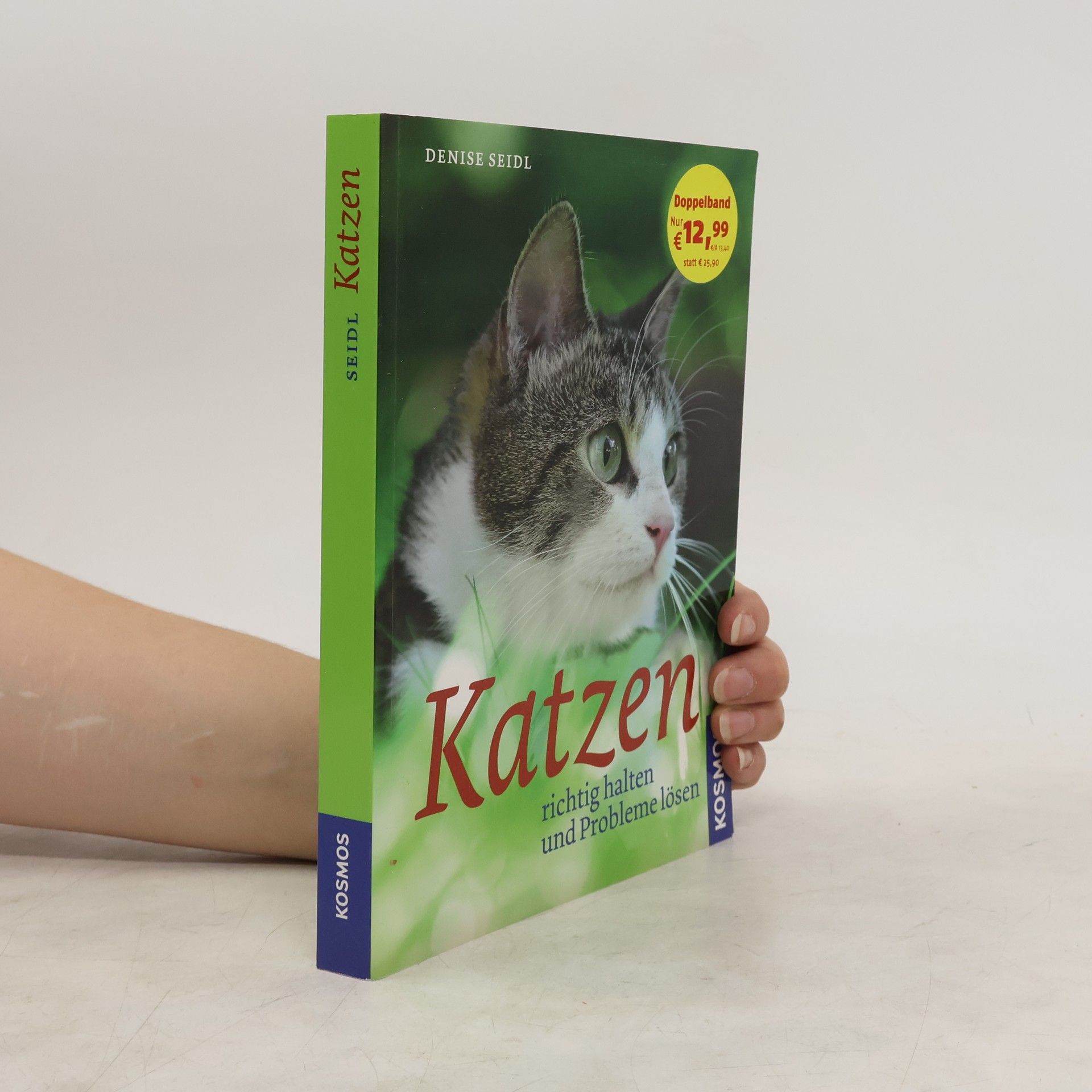 Denise Seidl Katzen richtig halten und Probleme lösen