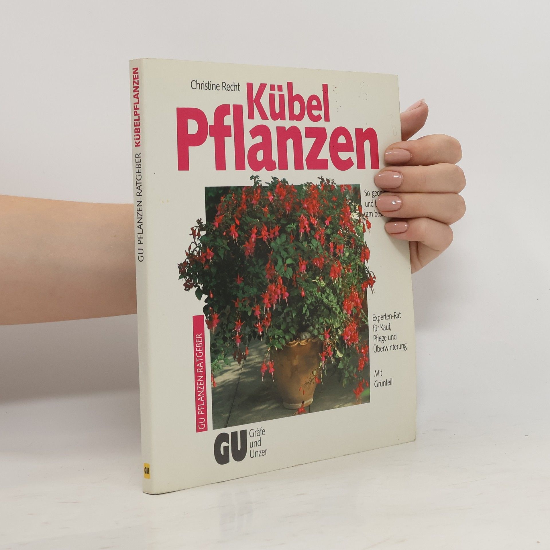 Christine Recht Kübel-Pflanzen