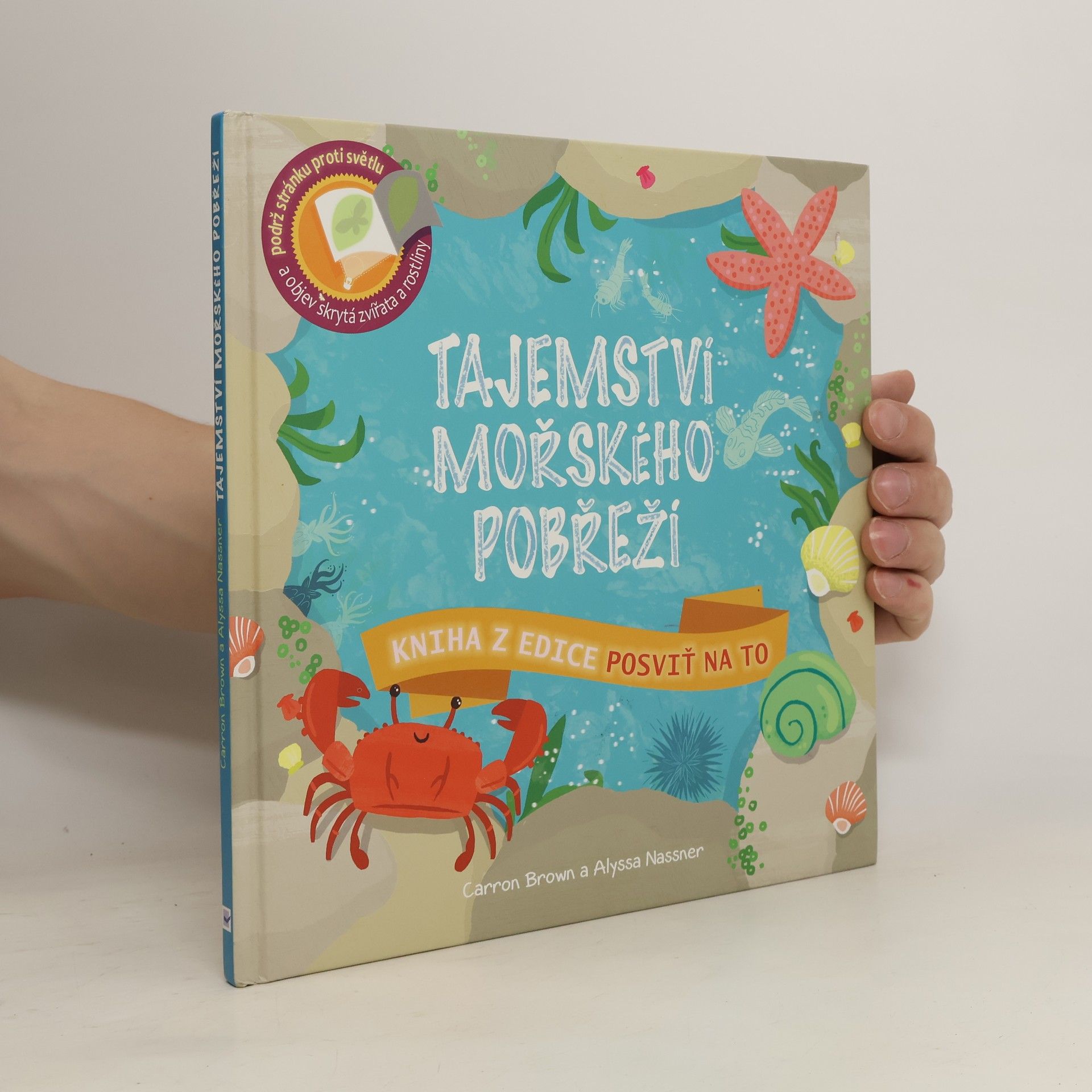 Carron Brown Tajemství mořského pobřeží