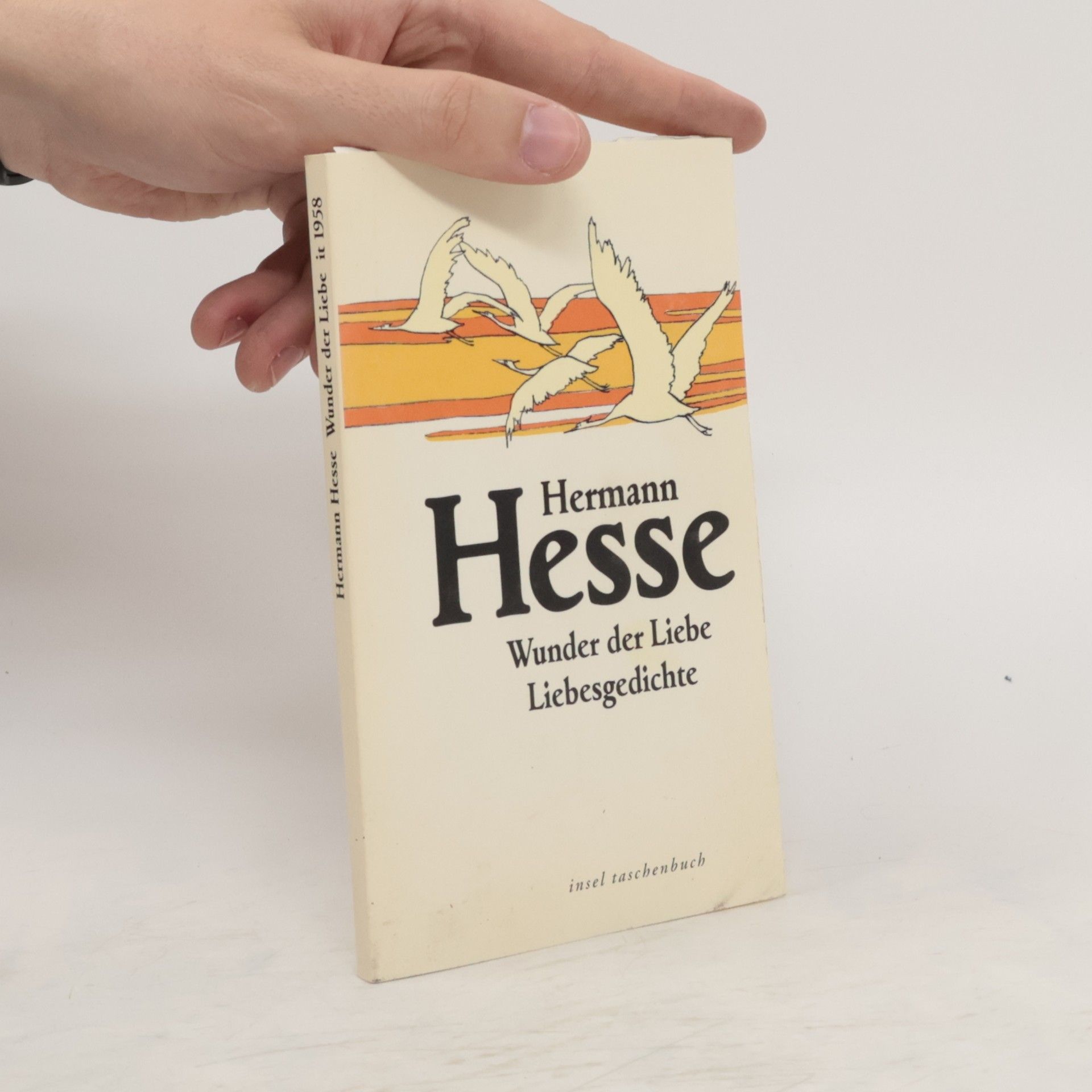 Volker Michels Wunder der Liebe