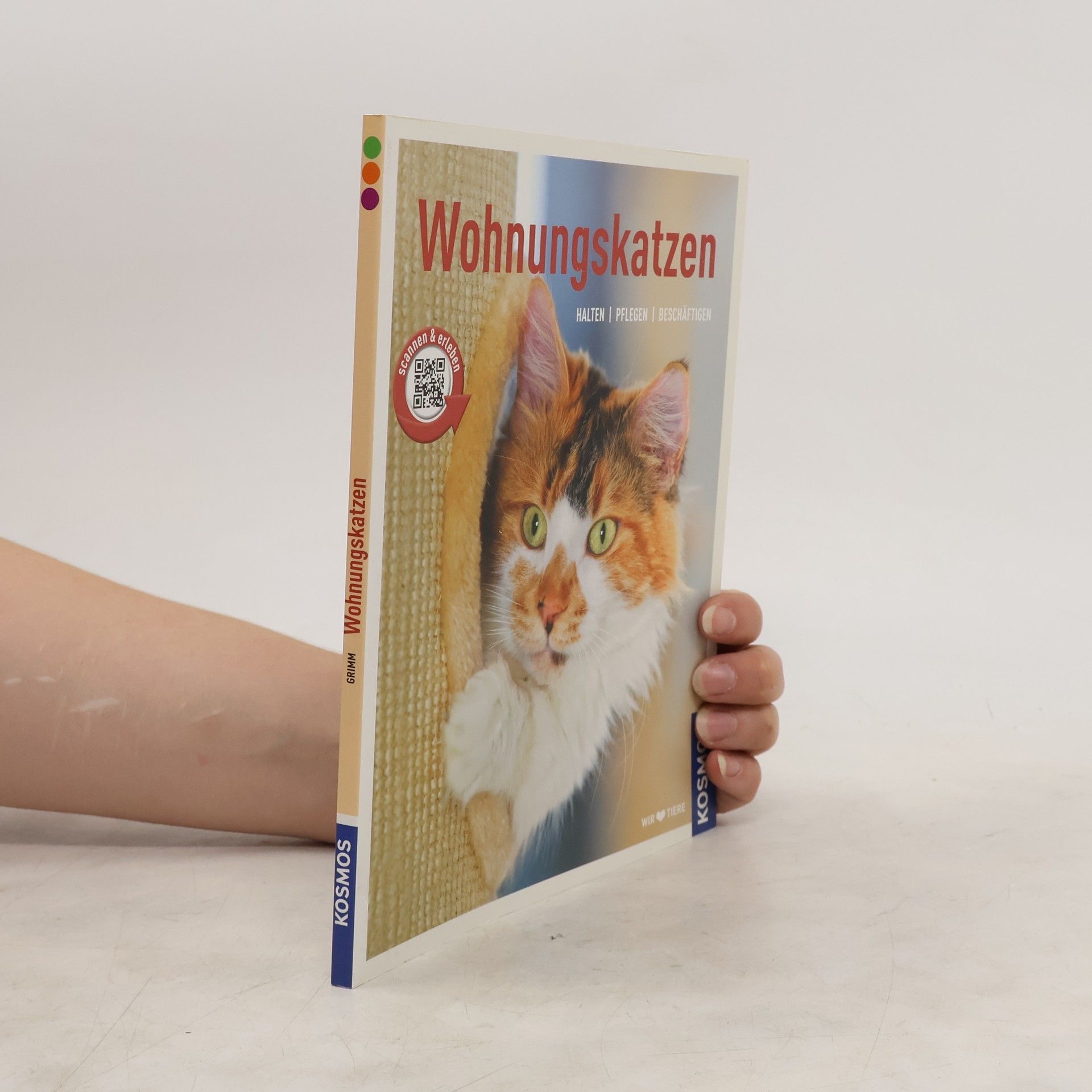 Hannelore Grimm Wohnungskatzen