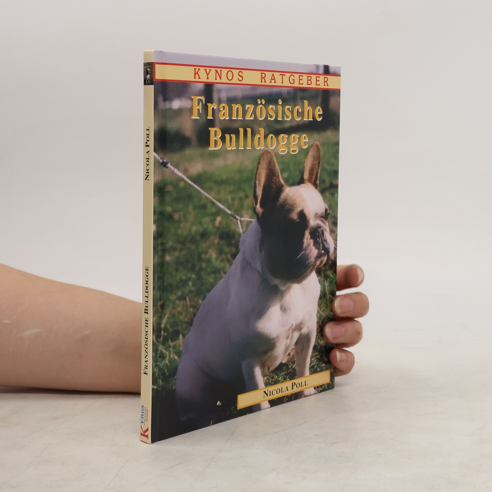 Nicola Poll Französische Bulldogge