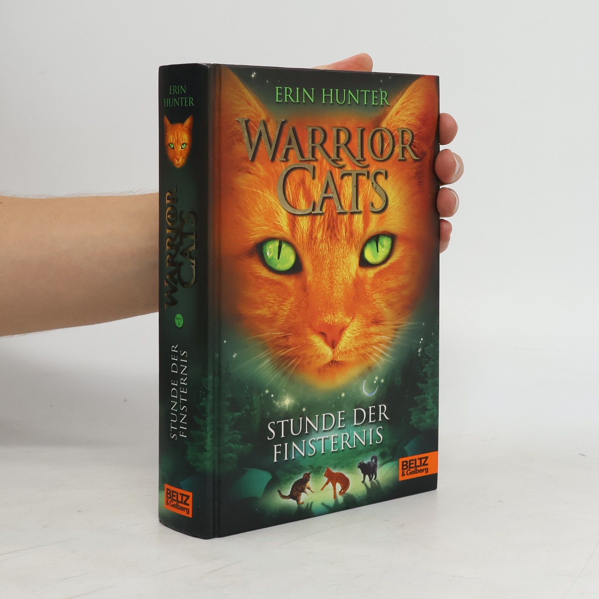 Erin Hunter Warrior Cats 6. Stunde der Finsternis