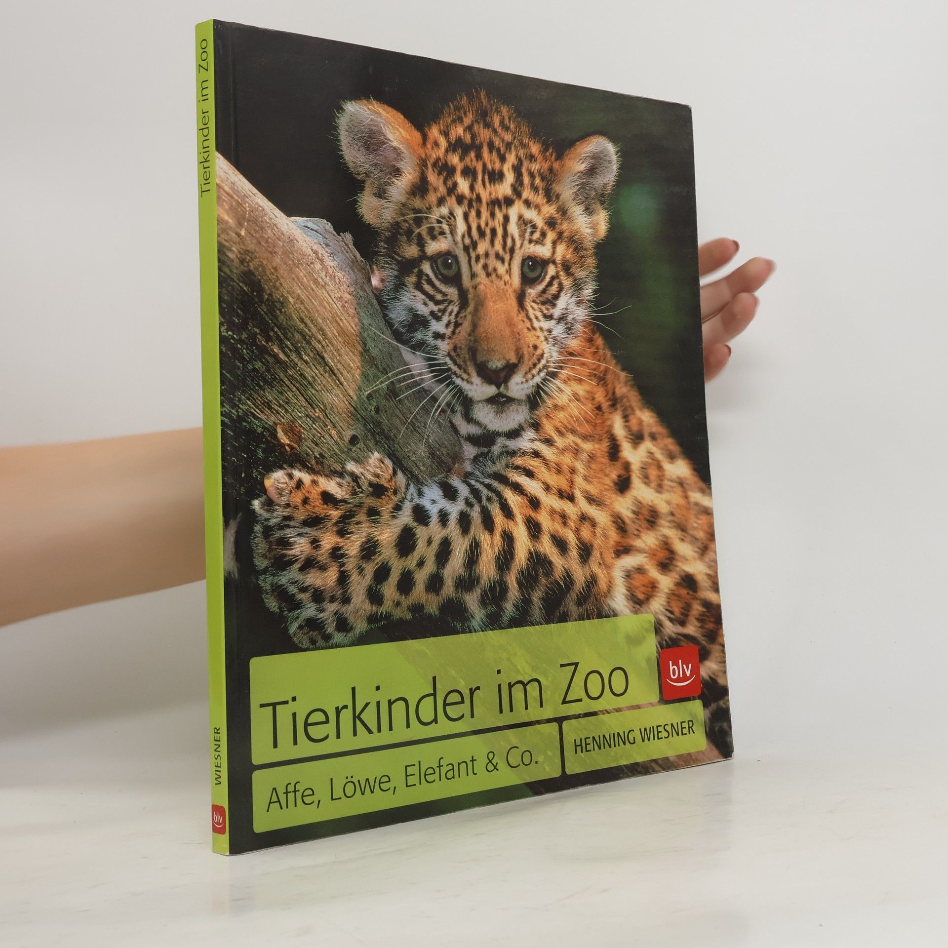 Henning Wiesner Tierkinder im Zoo