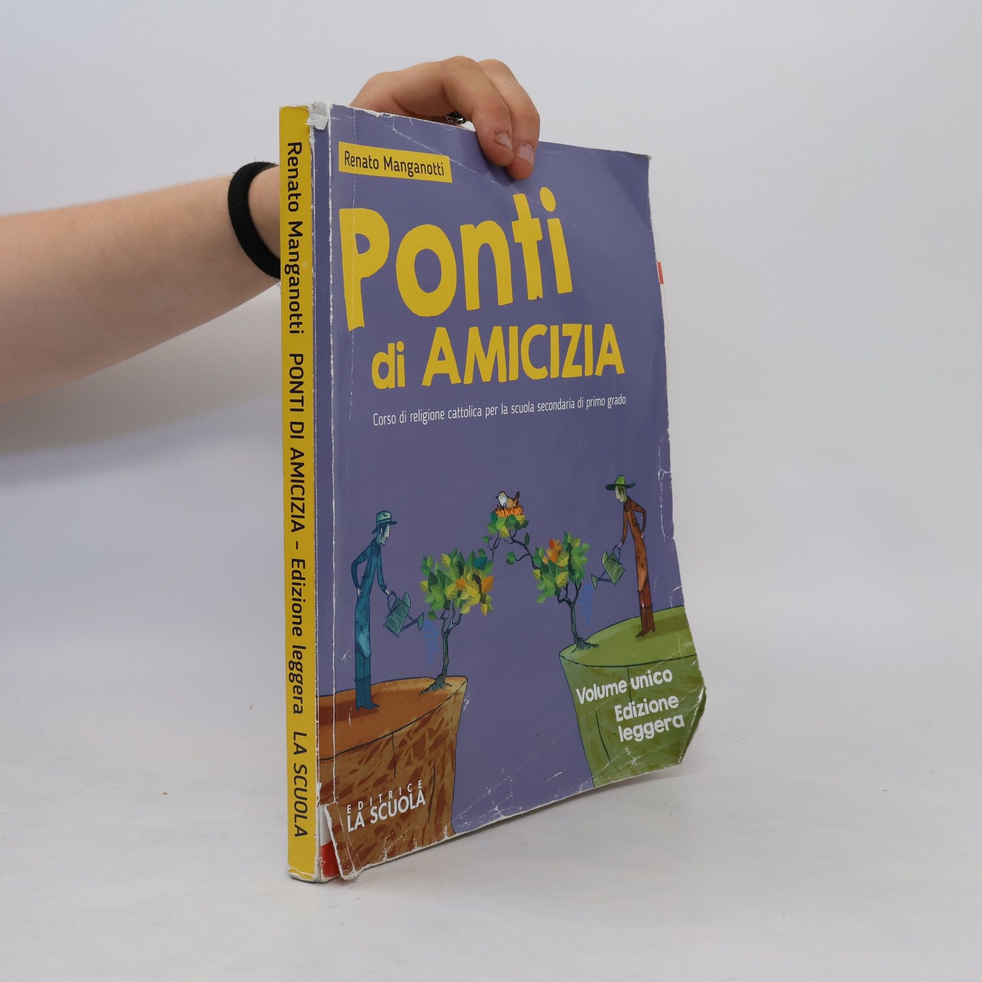 Renato Manganotti Ponti di amicizia