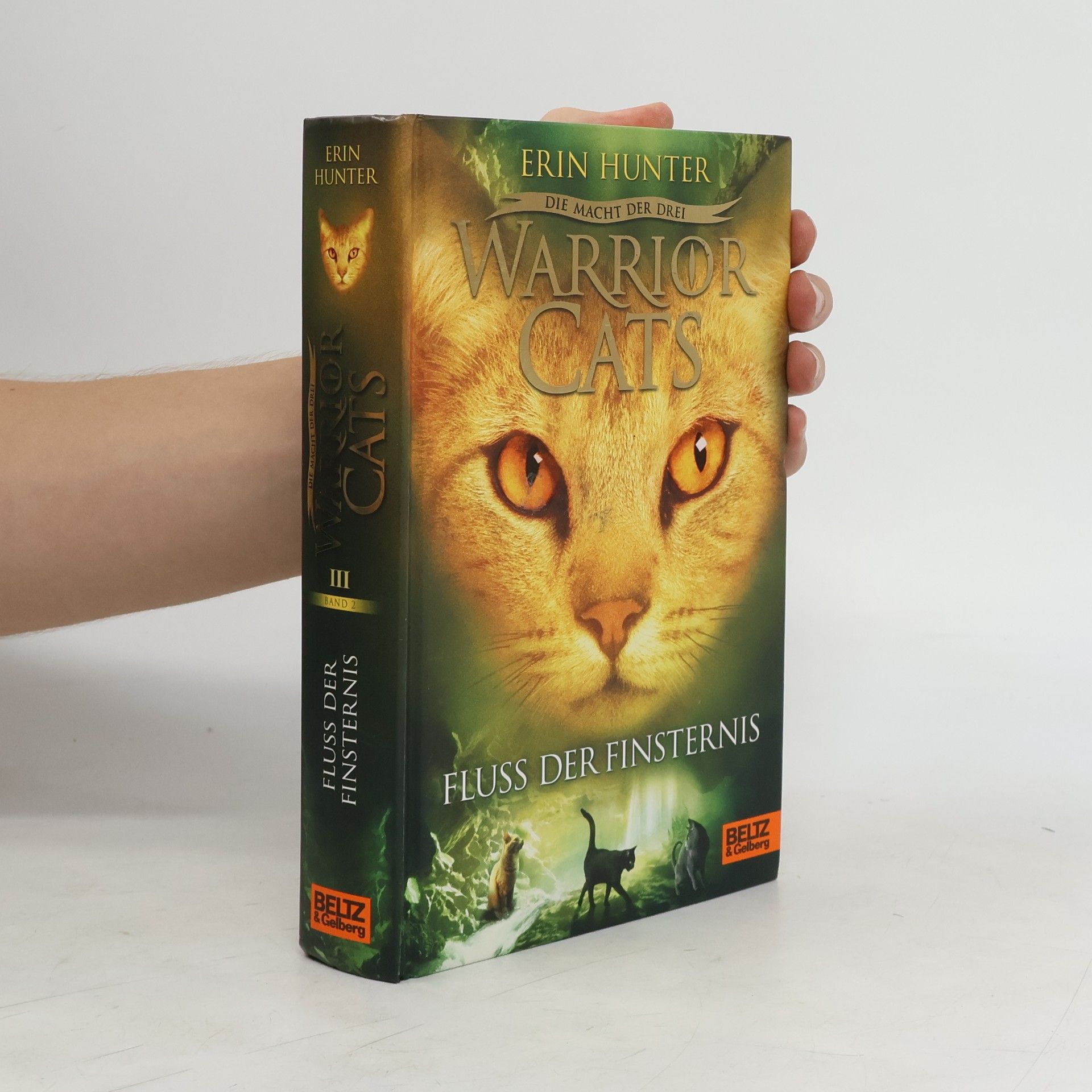 Warrior Cats. Fluss der Finsternis