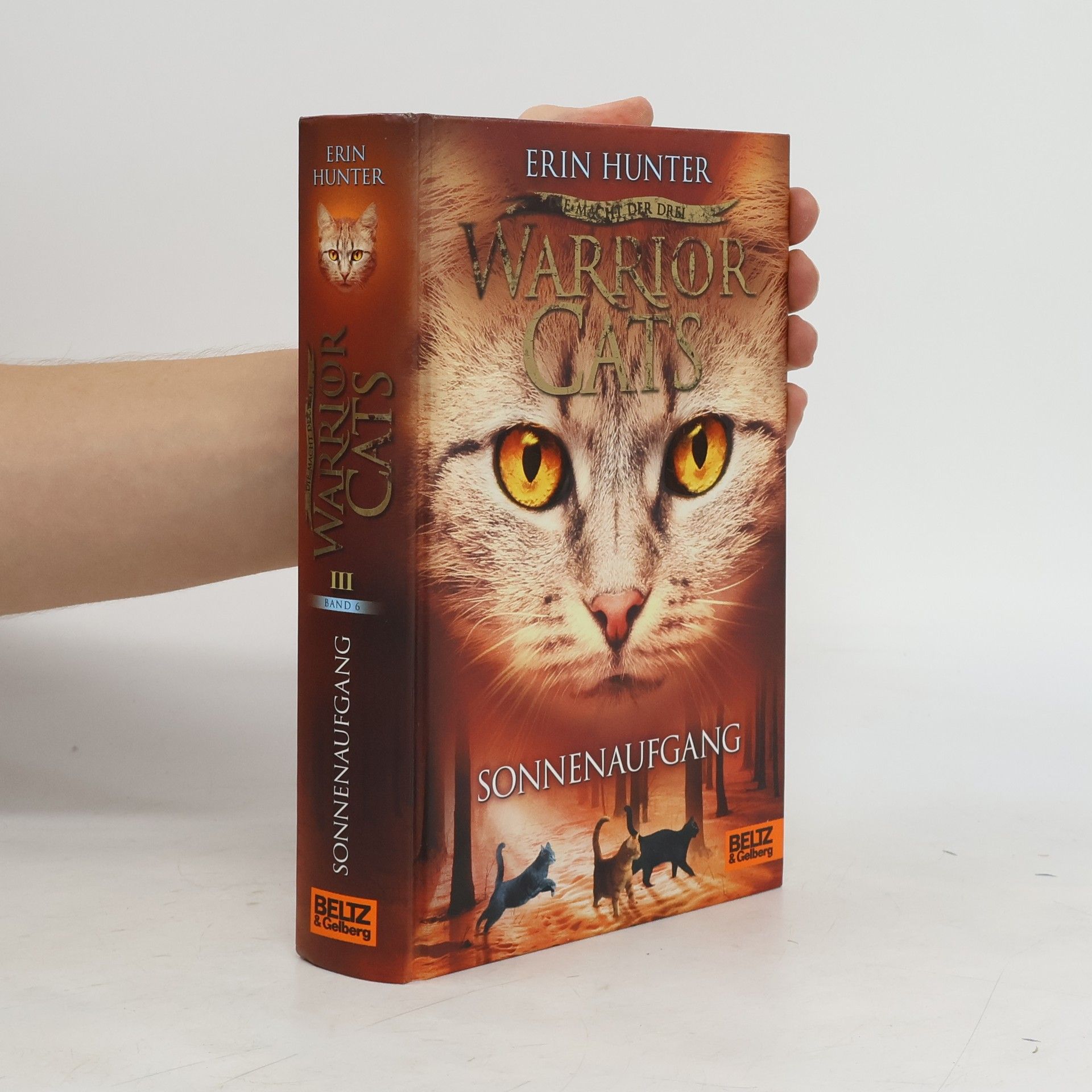 Erin Hunter Warrior Cats. Sonnenaufgang