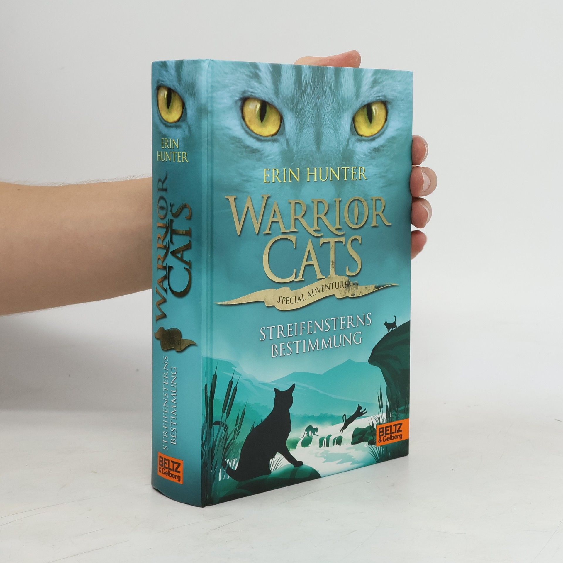 Erin Hunter Warrior cats - special adventure