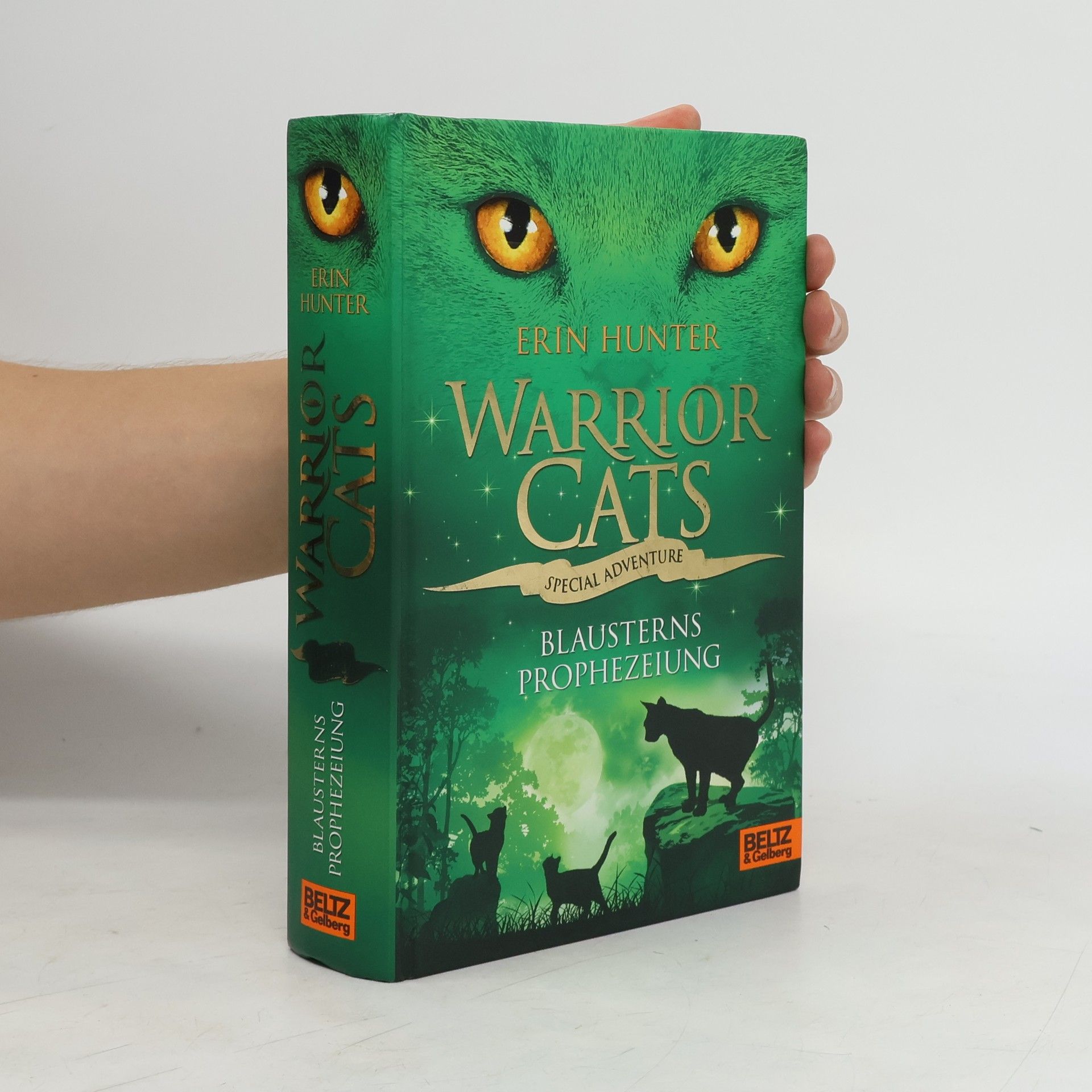 Erin Hunter Warrior cats. Special Adventure