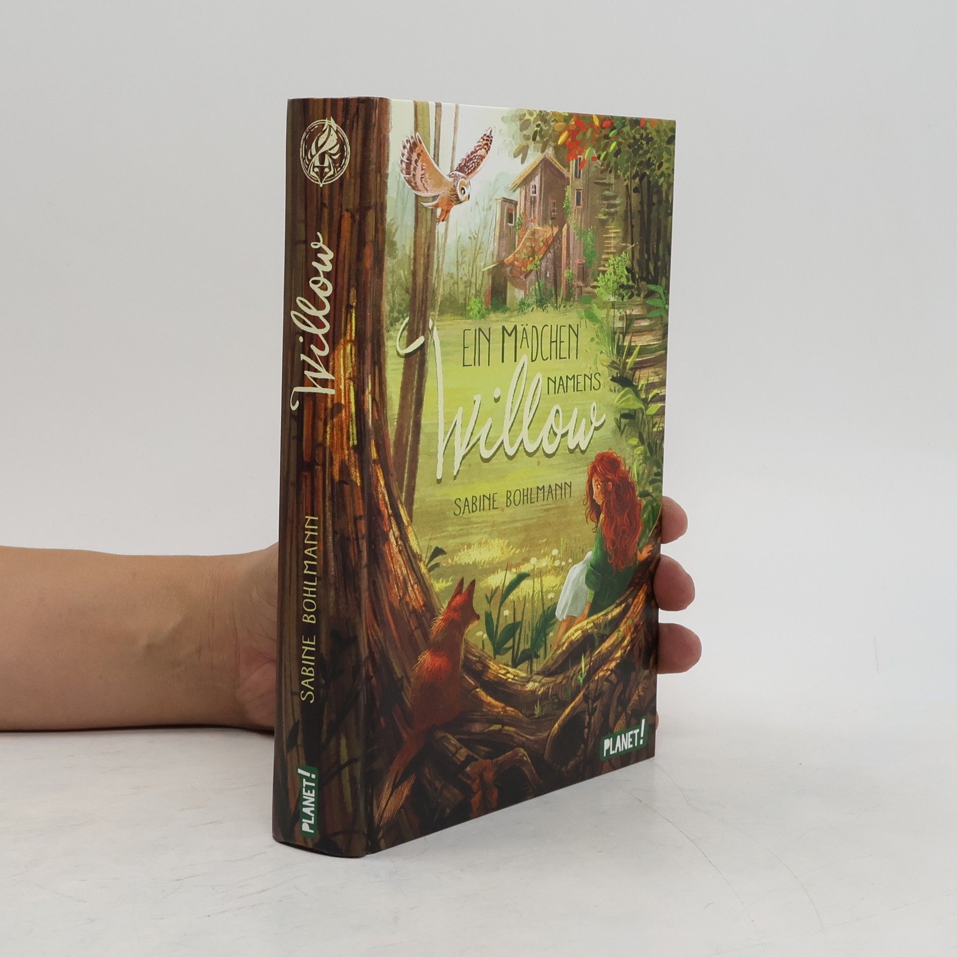 Sabine Bohlmann Ein Mädchen namens Willow