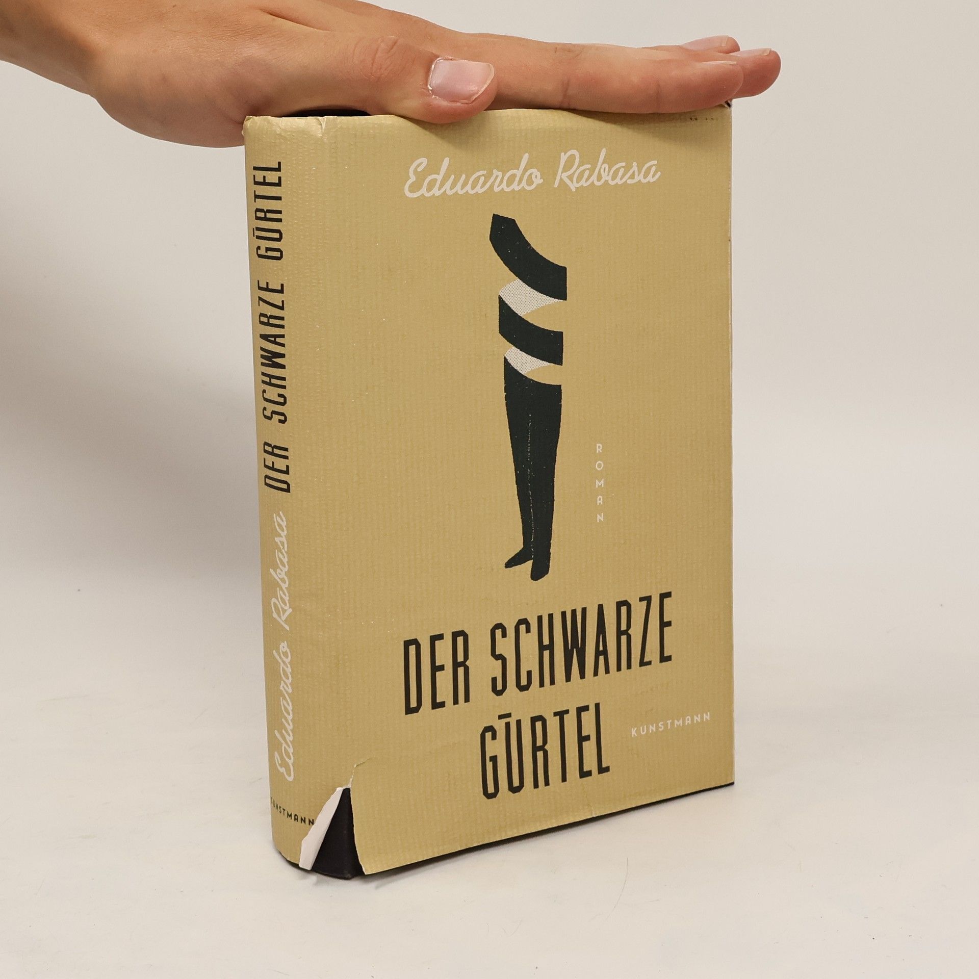 Eduardo Rabasa Der schwarze Gürtel