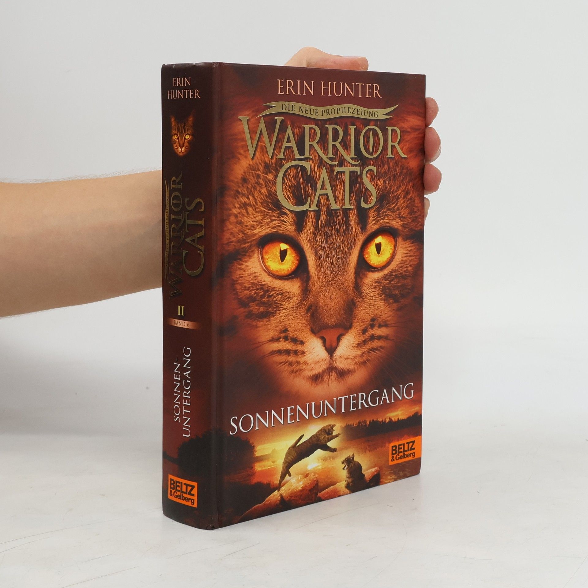Erin Hunter Warrior Cats: Die neue Prophezeiung. Sonnenuntergang: II,6